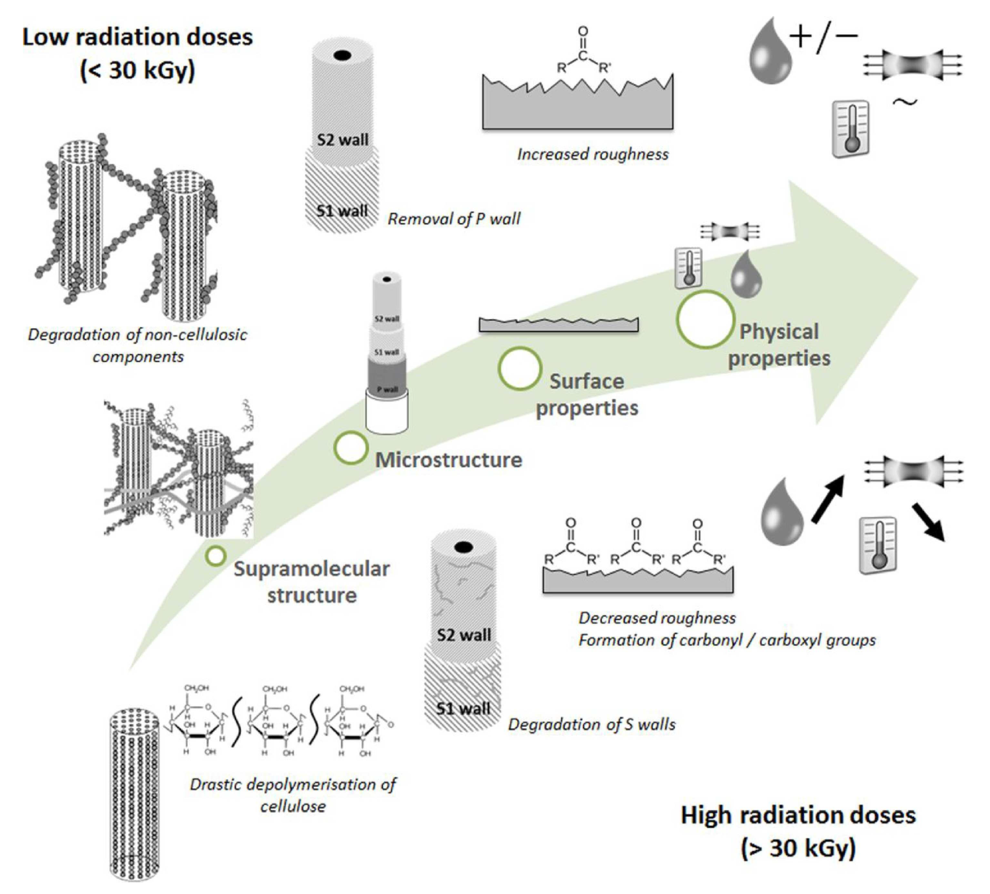 Polymers 16 03568 g006
