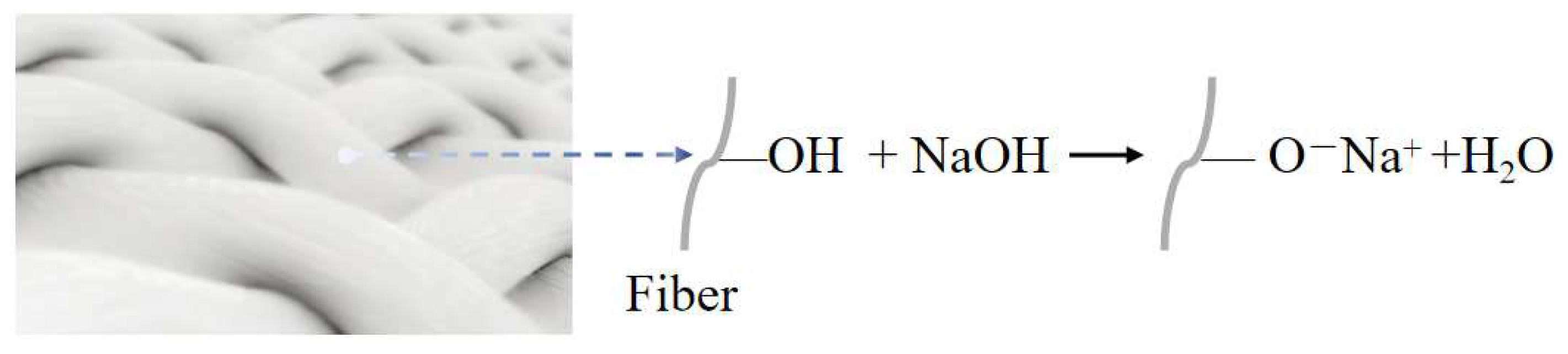 Polymers 16 03568 g008