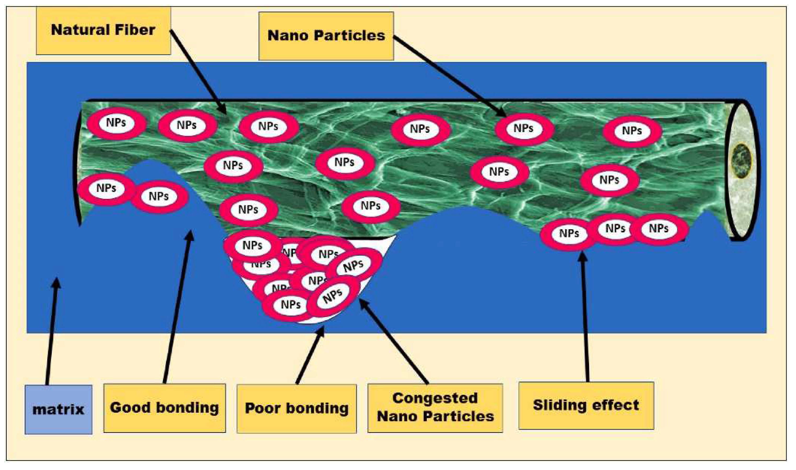 Polymers 16 03568 g018