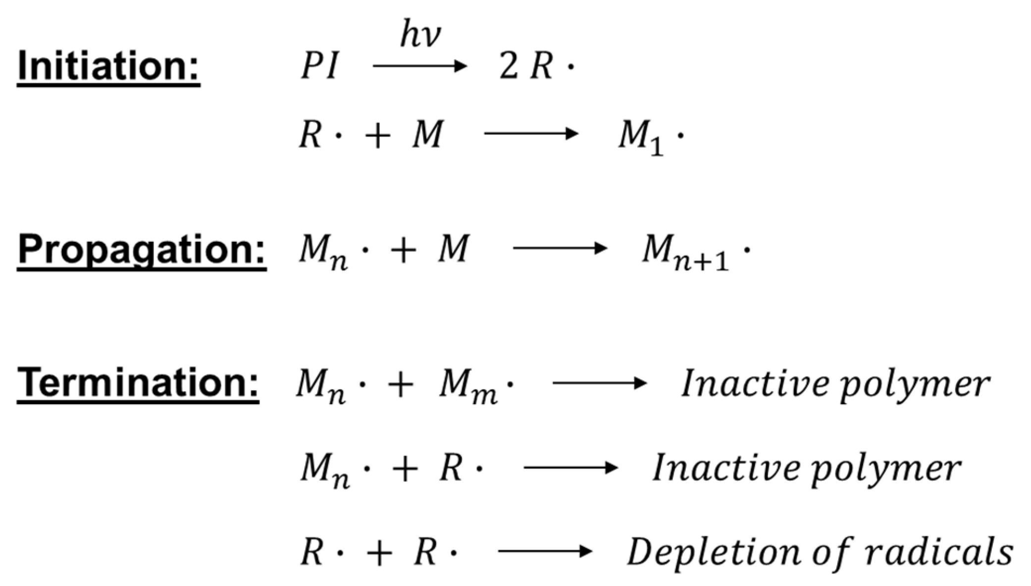 Polymers 16 03570 g004