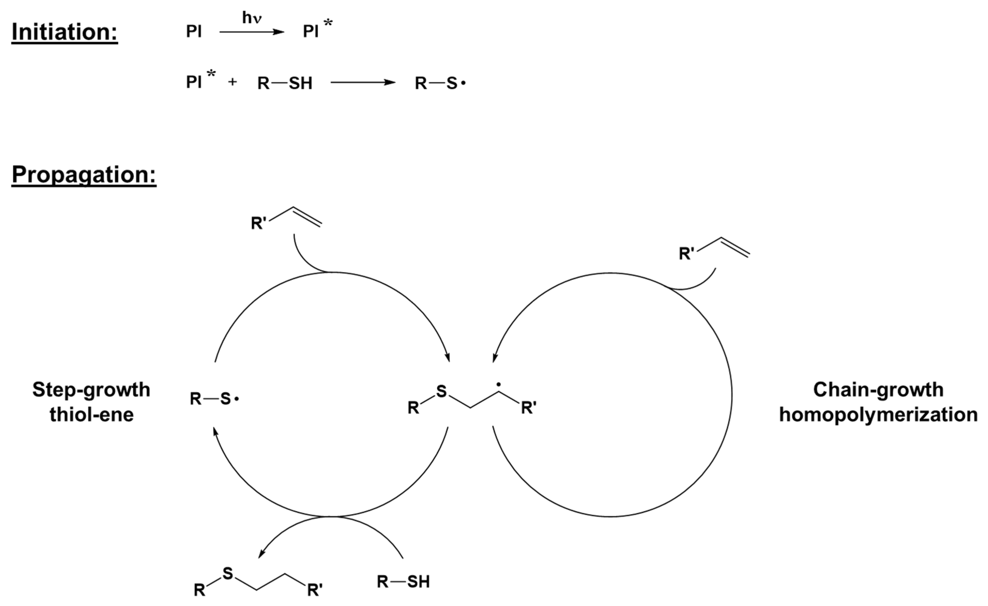 Polymers 16 03570 g005