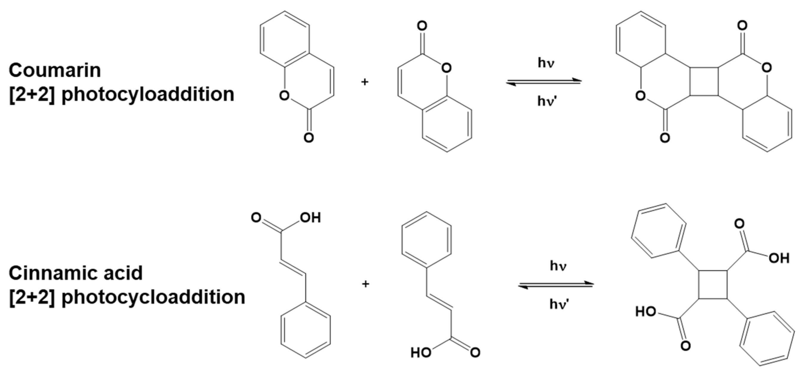Polymers 16 03570 g006