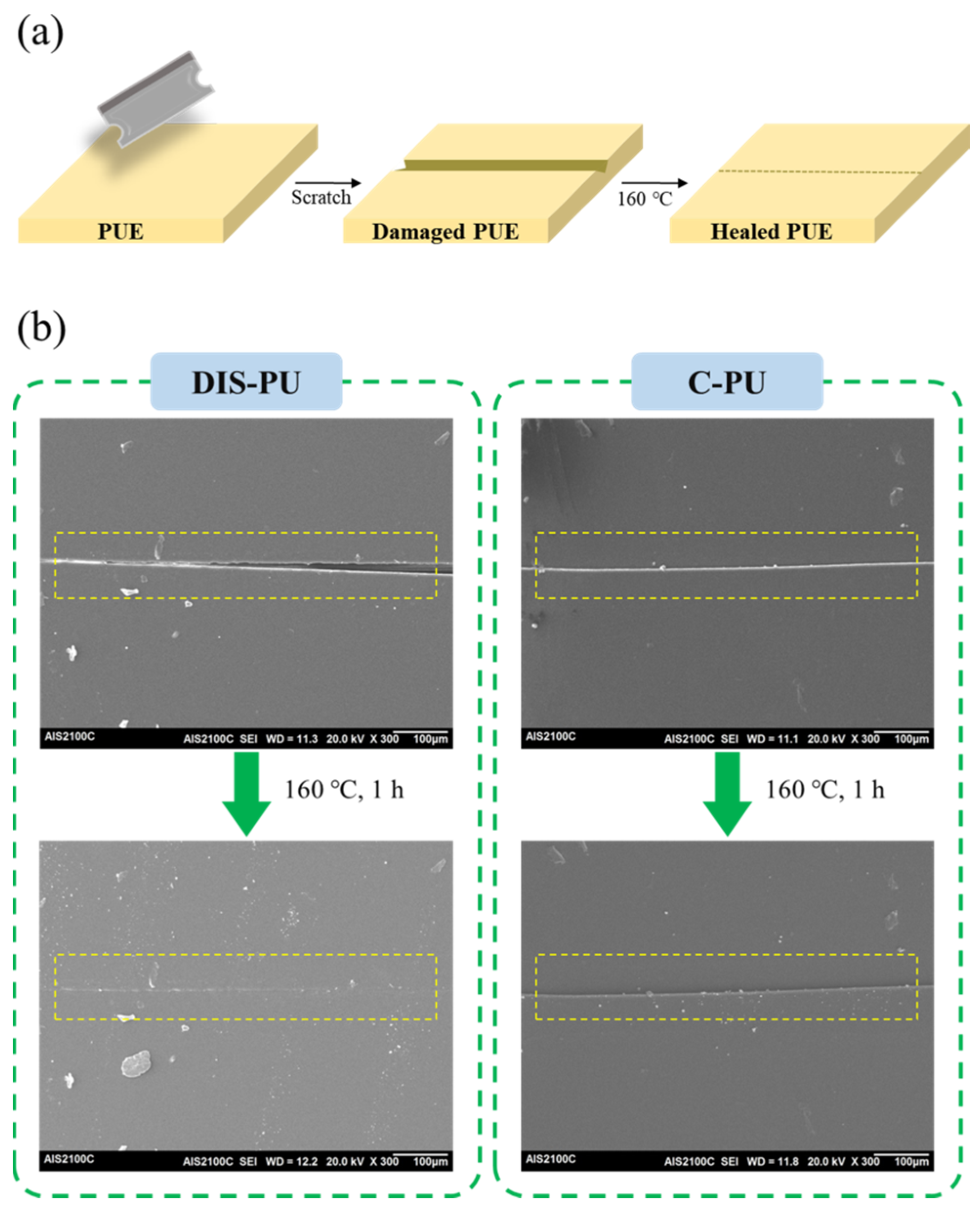 Polymers 16 03571 g006