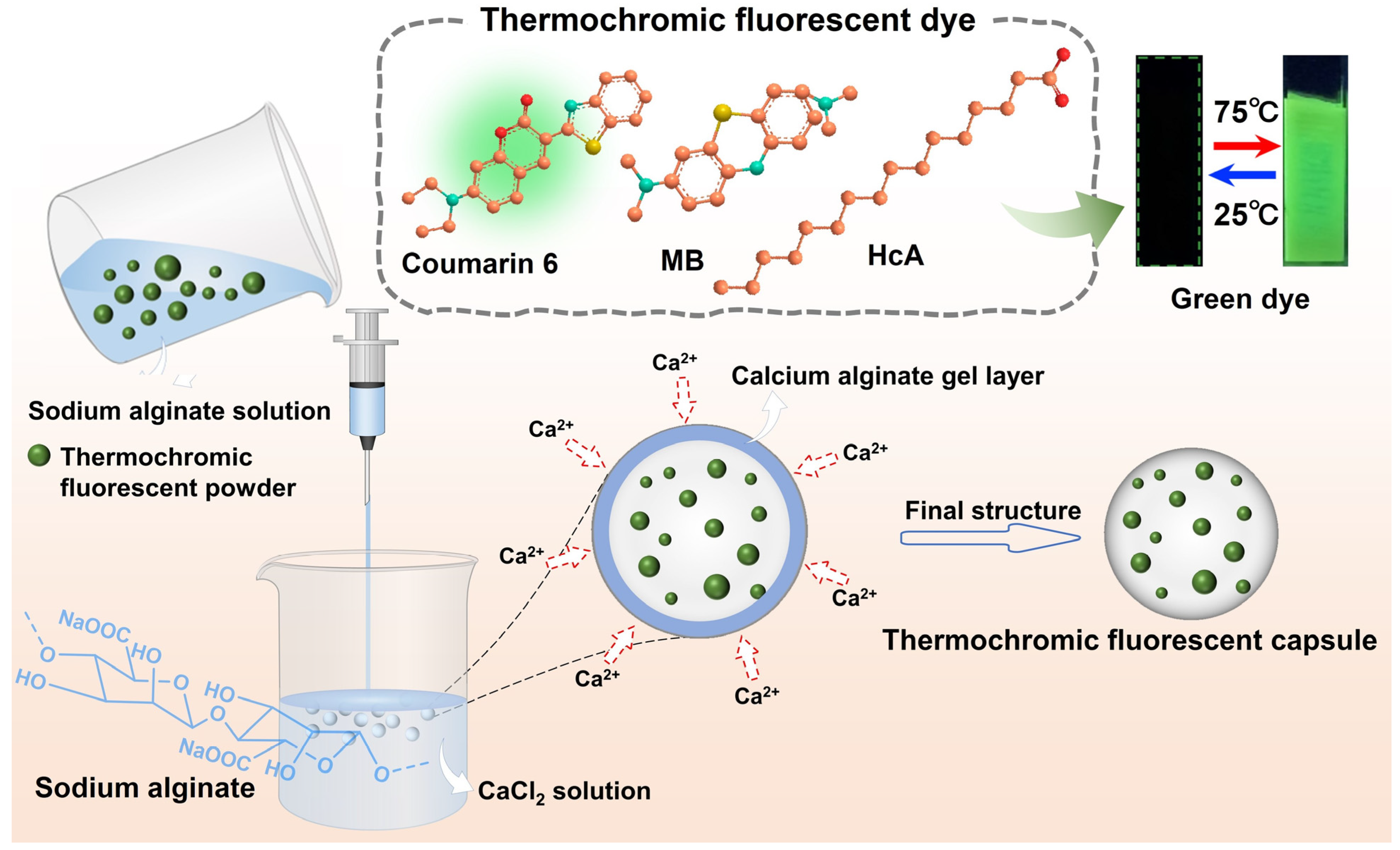 Polymers 16 03575 g001