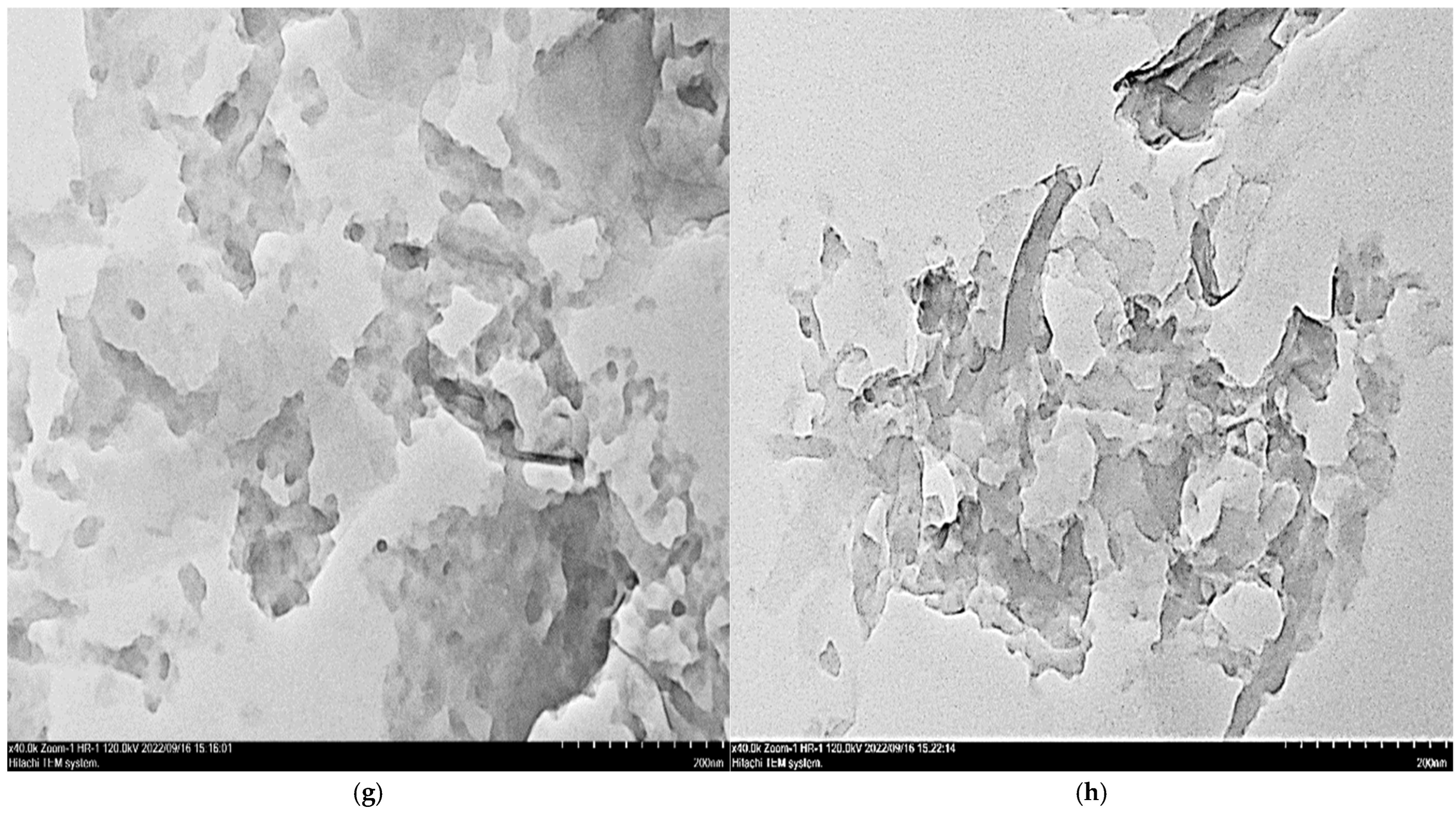 Polymers 16 03578 g001c