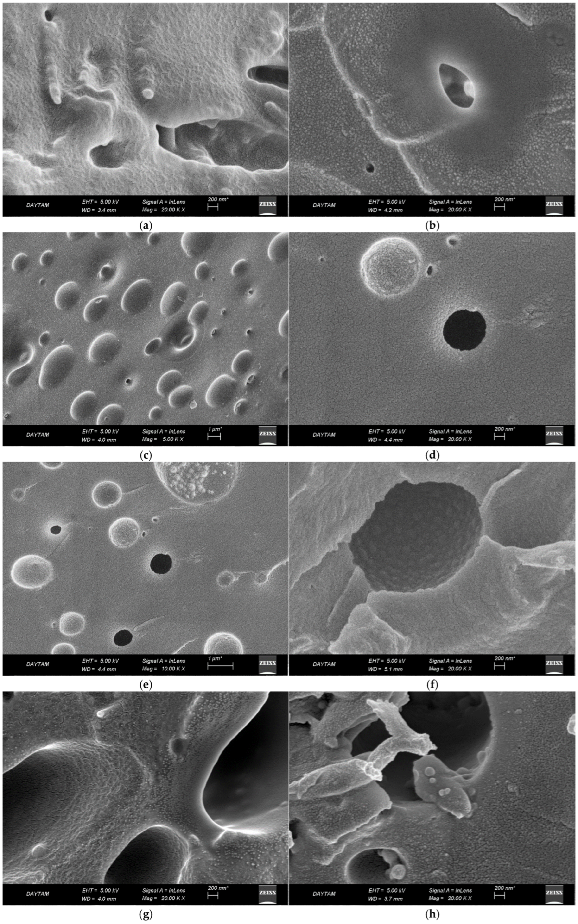Polymers 16 03578 g002