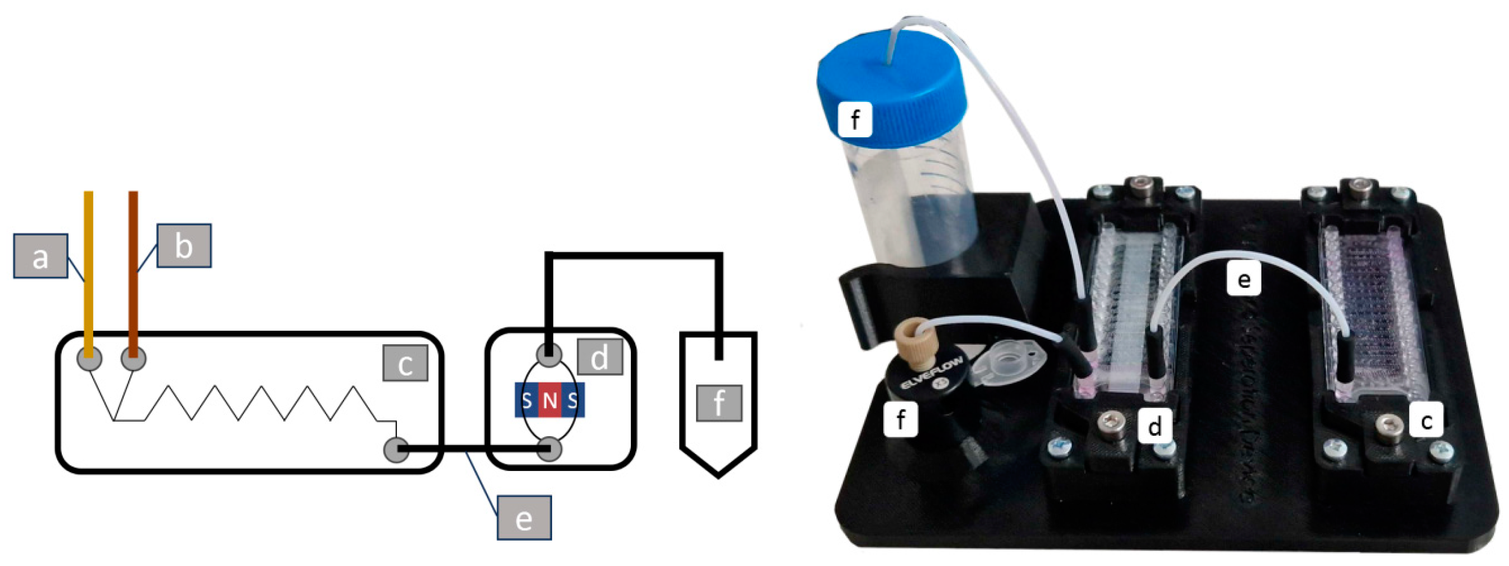Polymers 16 03579 g002