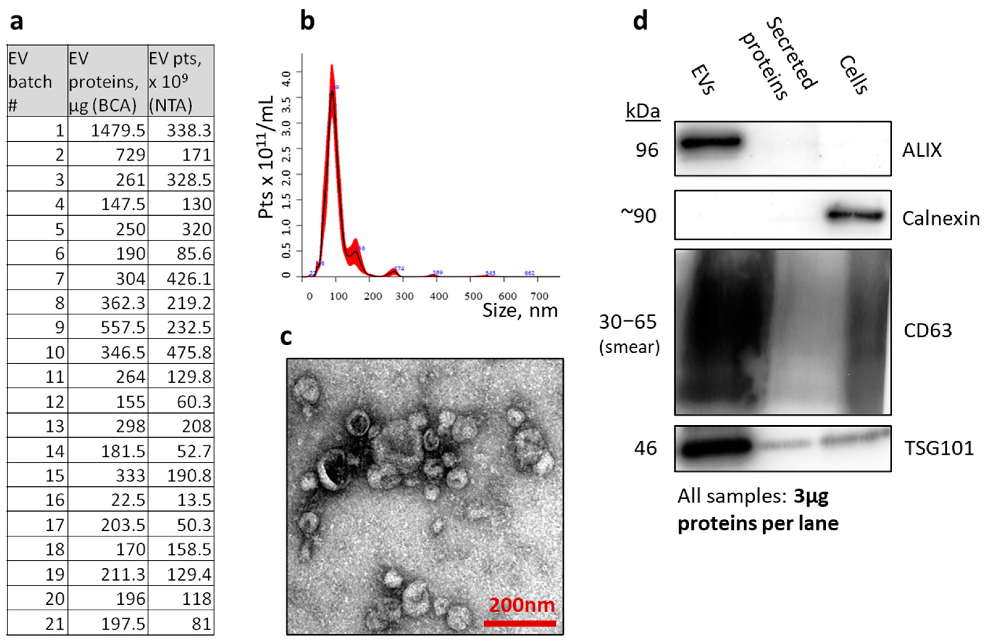 Polymers 16 03579 g003