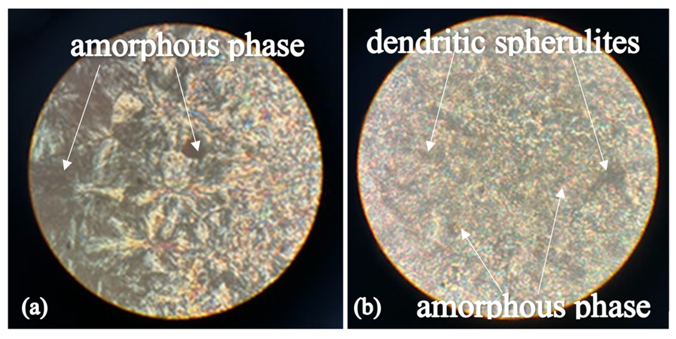 Polymers 16 03582 g004