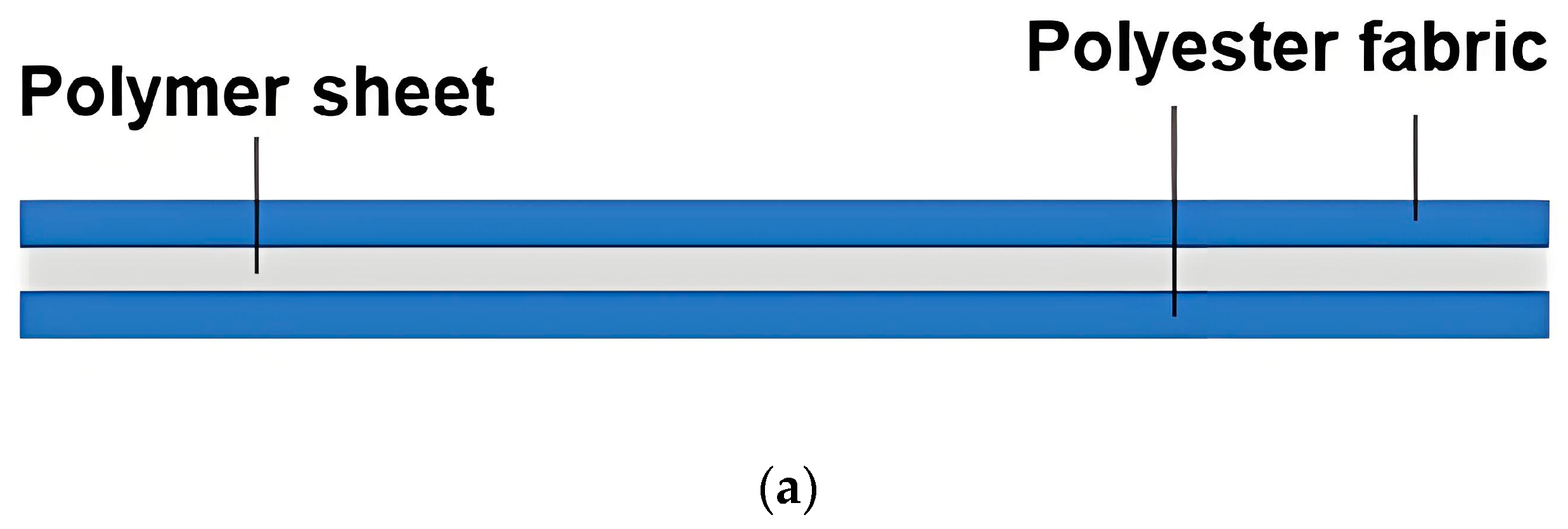 Polymers 16 03587 g002a