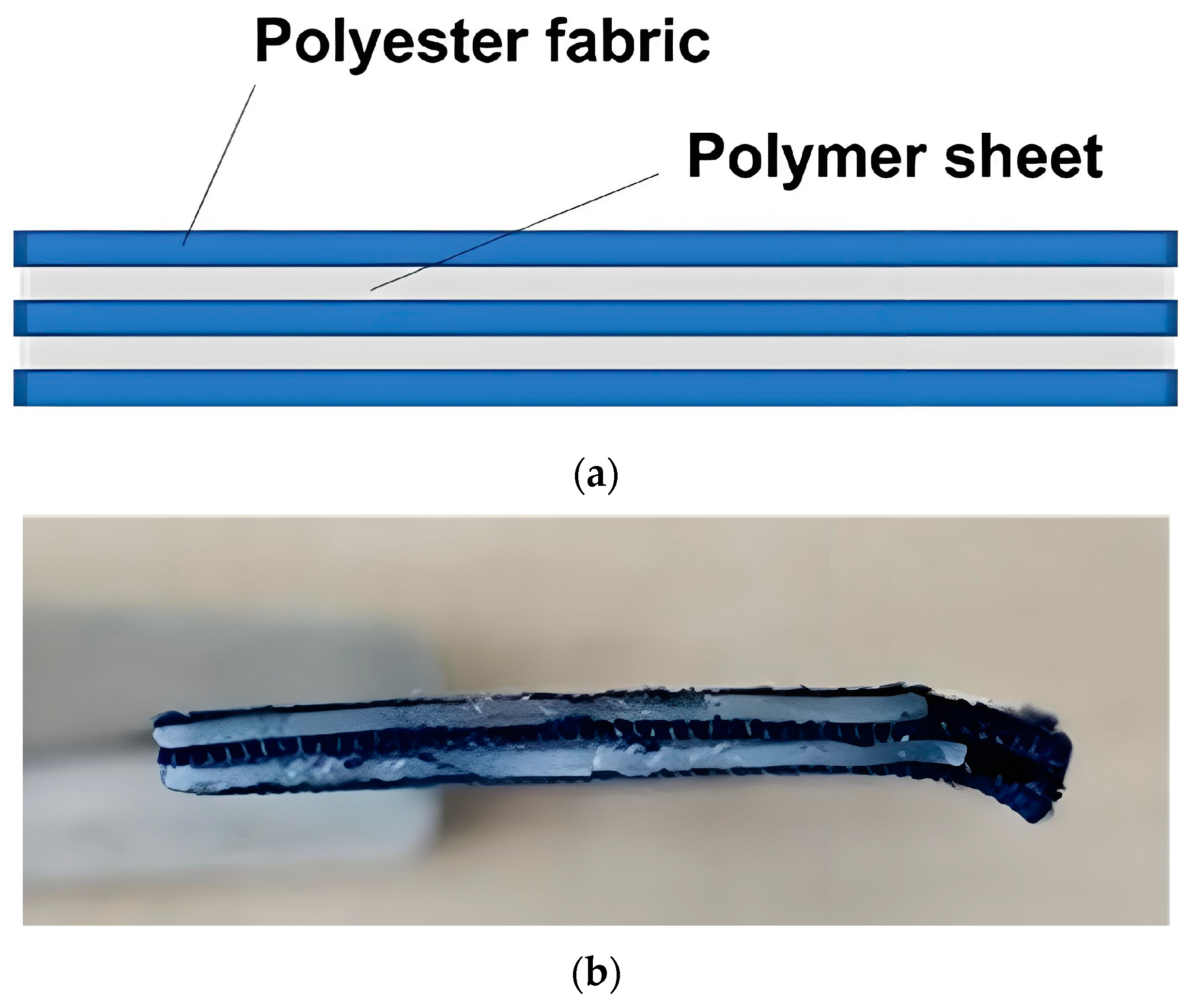Polymers 16 03587 g003