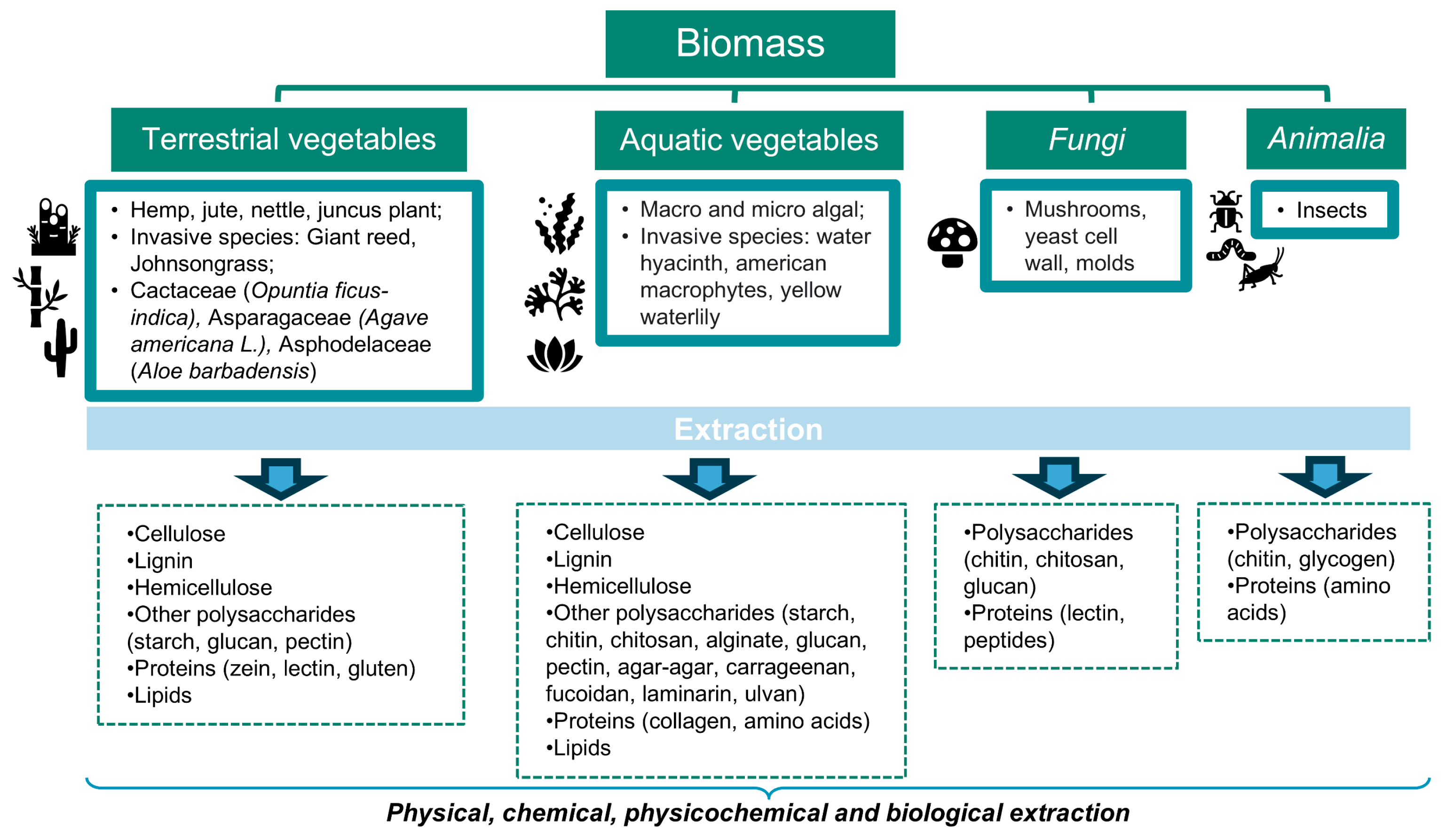 Polymers 16 03602 g001