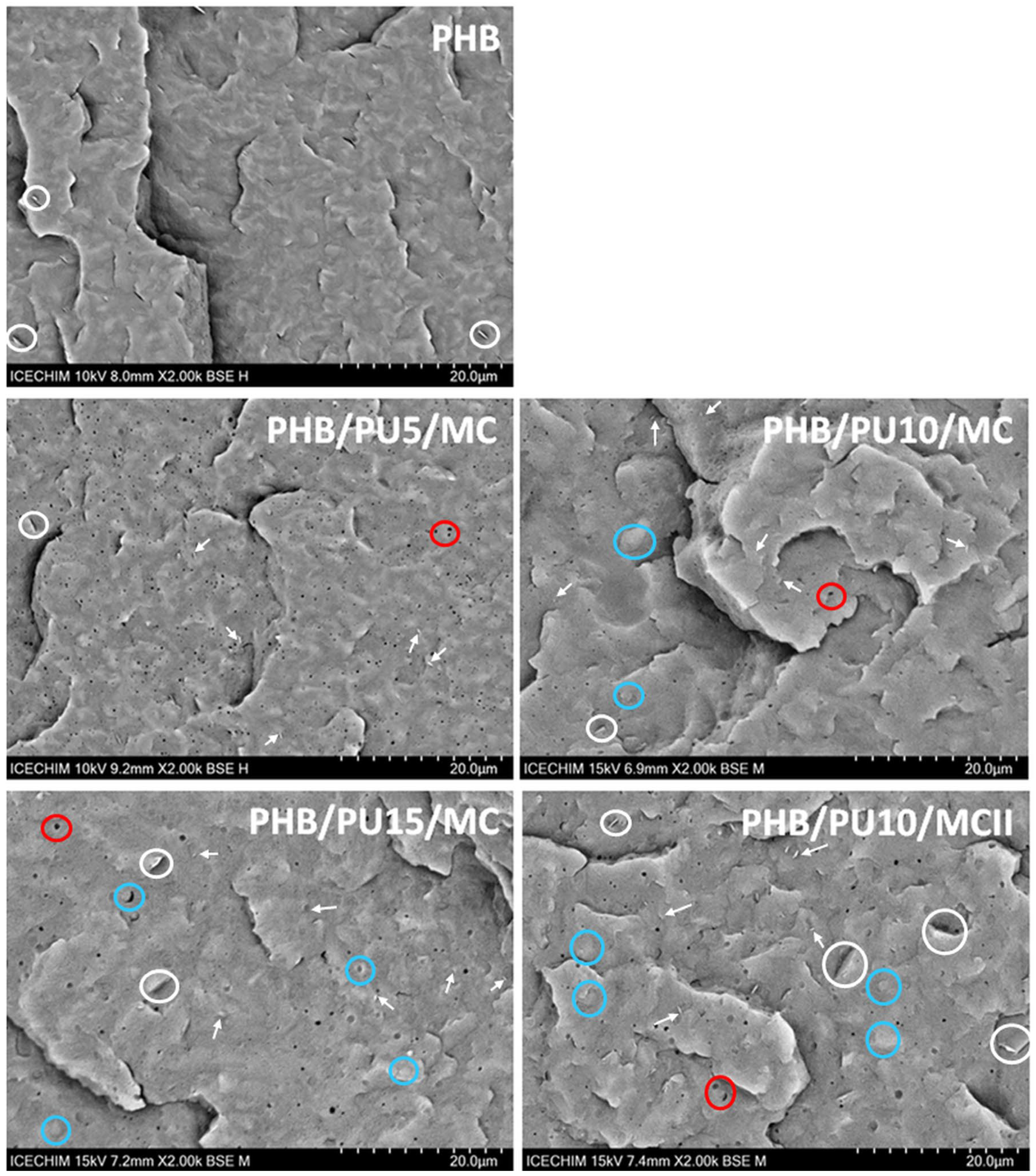 Polymers 16 03606 g005