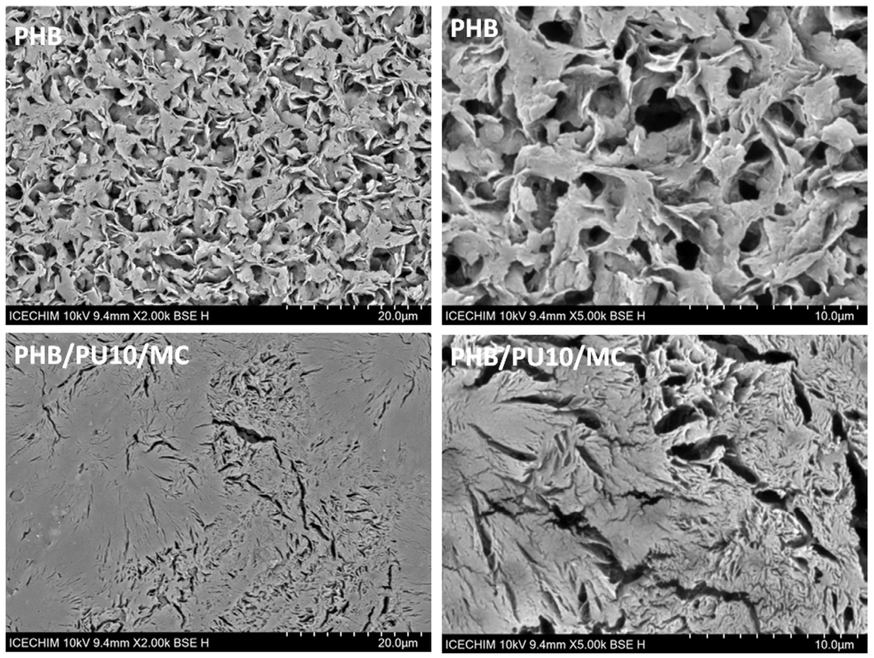 Polymers 16 03606 g009