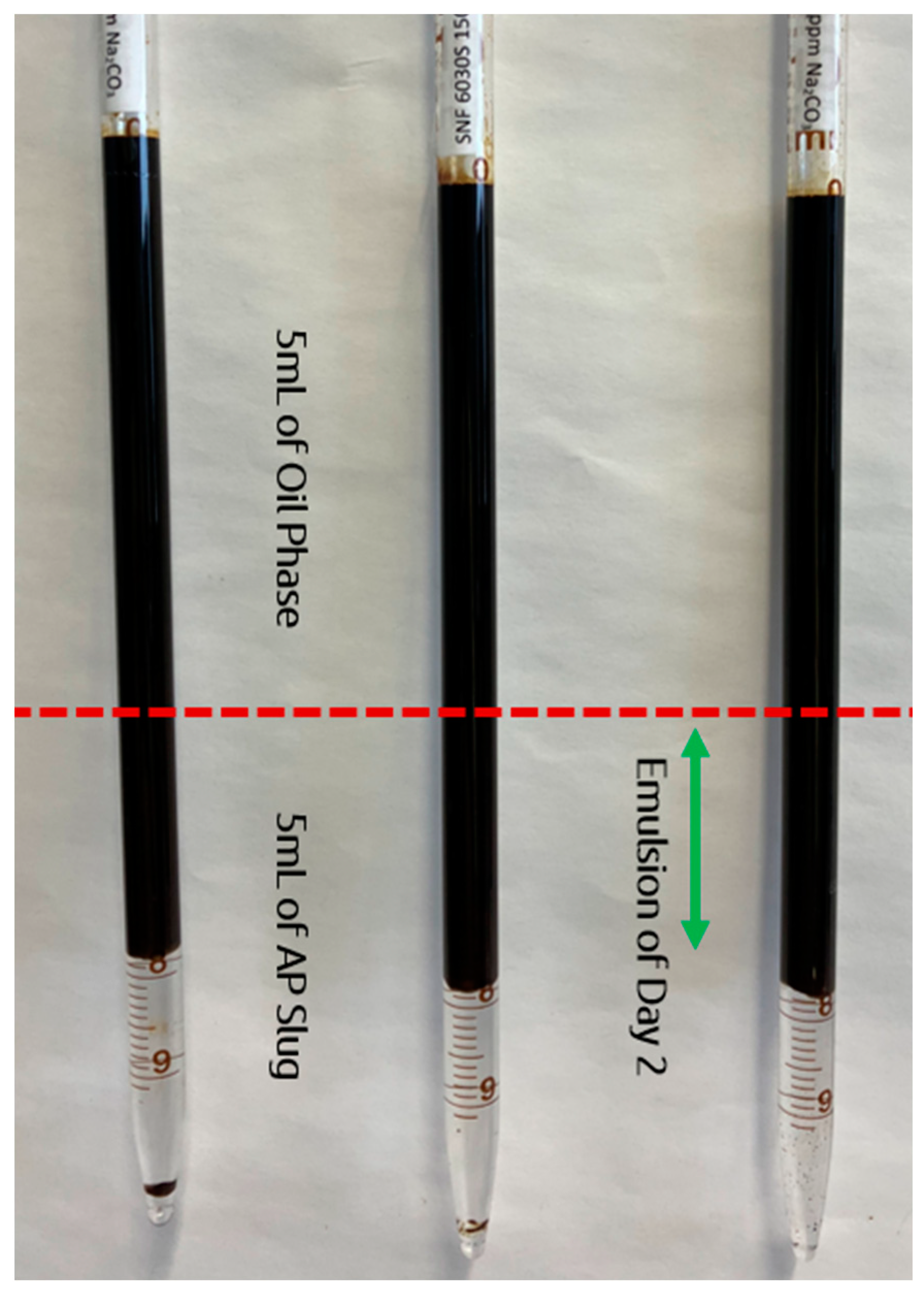 Polymers 16 03607 g004 Polymers 16 03607 g004