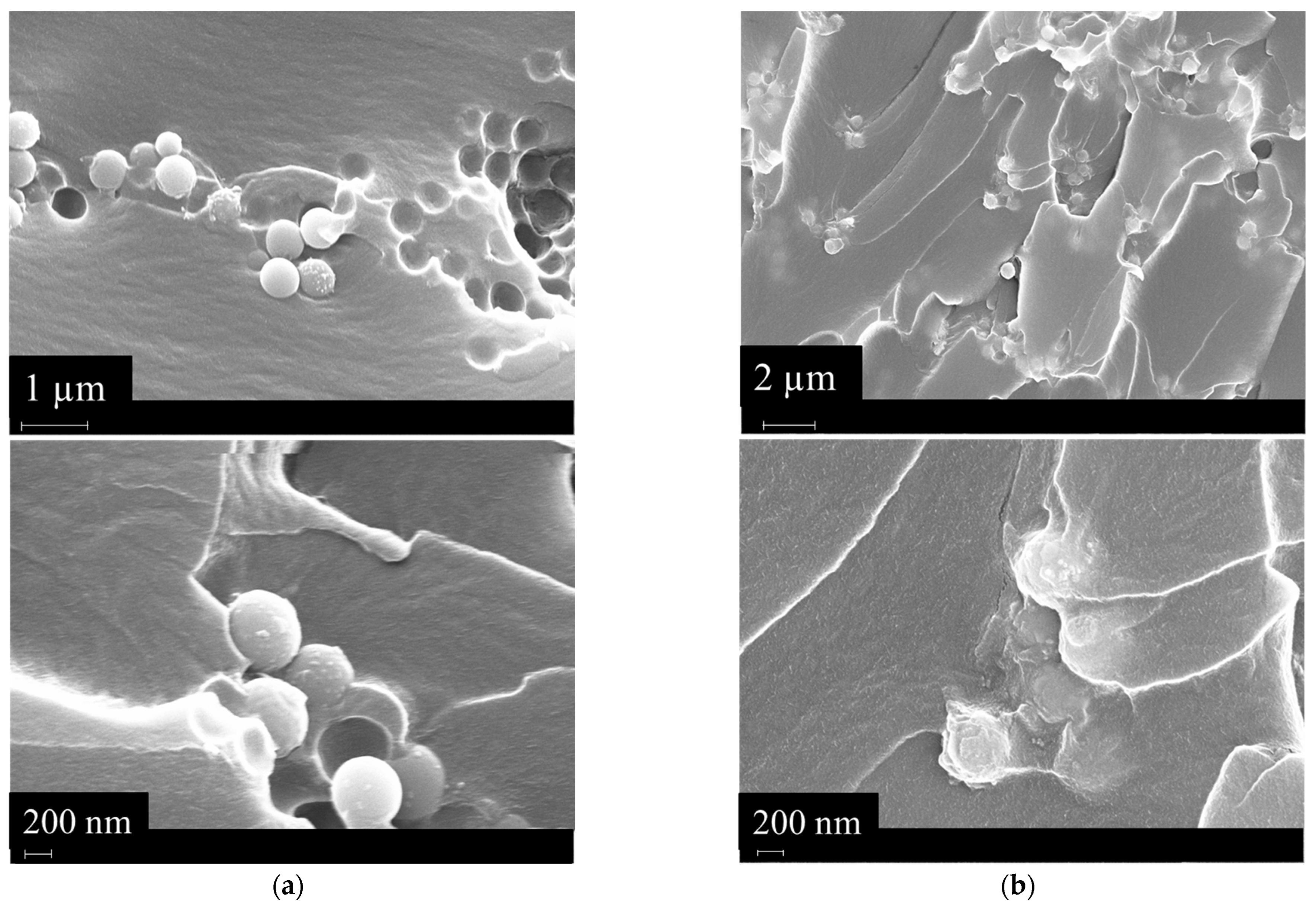 Polymers 16 03614 g008 Polymers 16 03614 g008