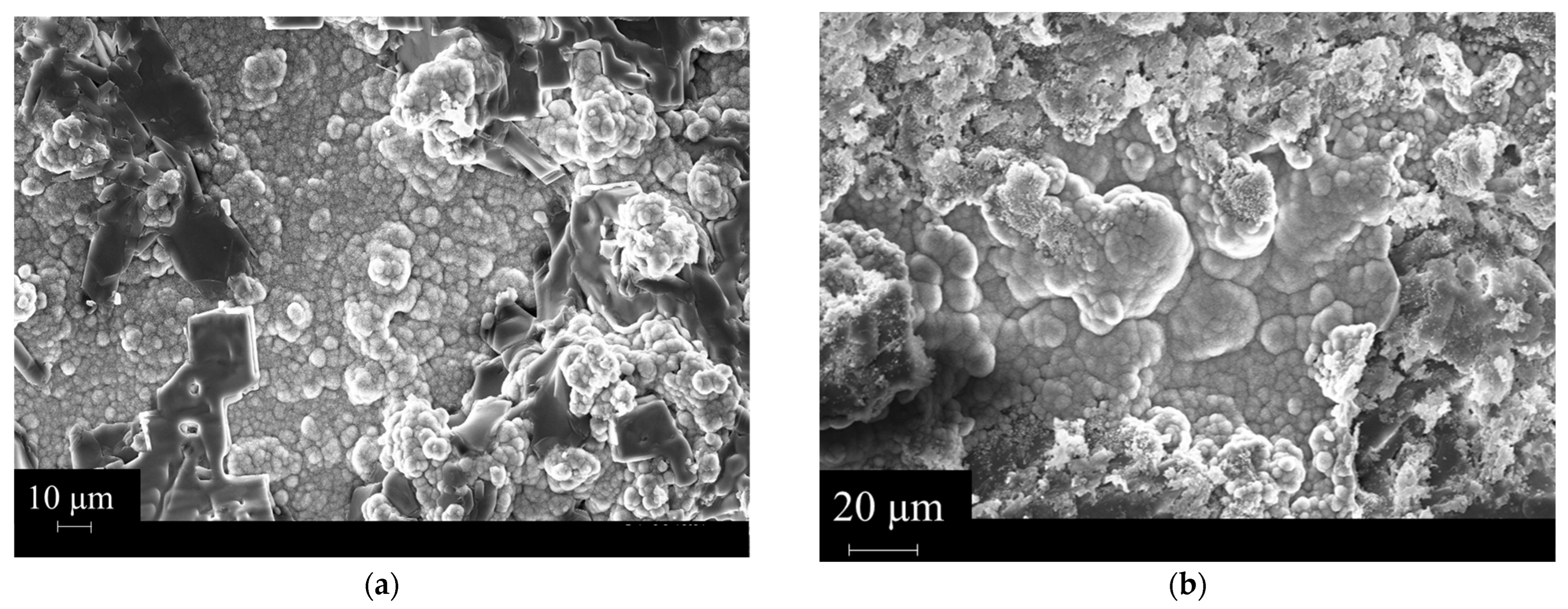 Polymers 16 03614 g009 Polymers 16 03614 g009