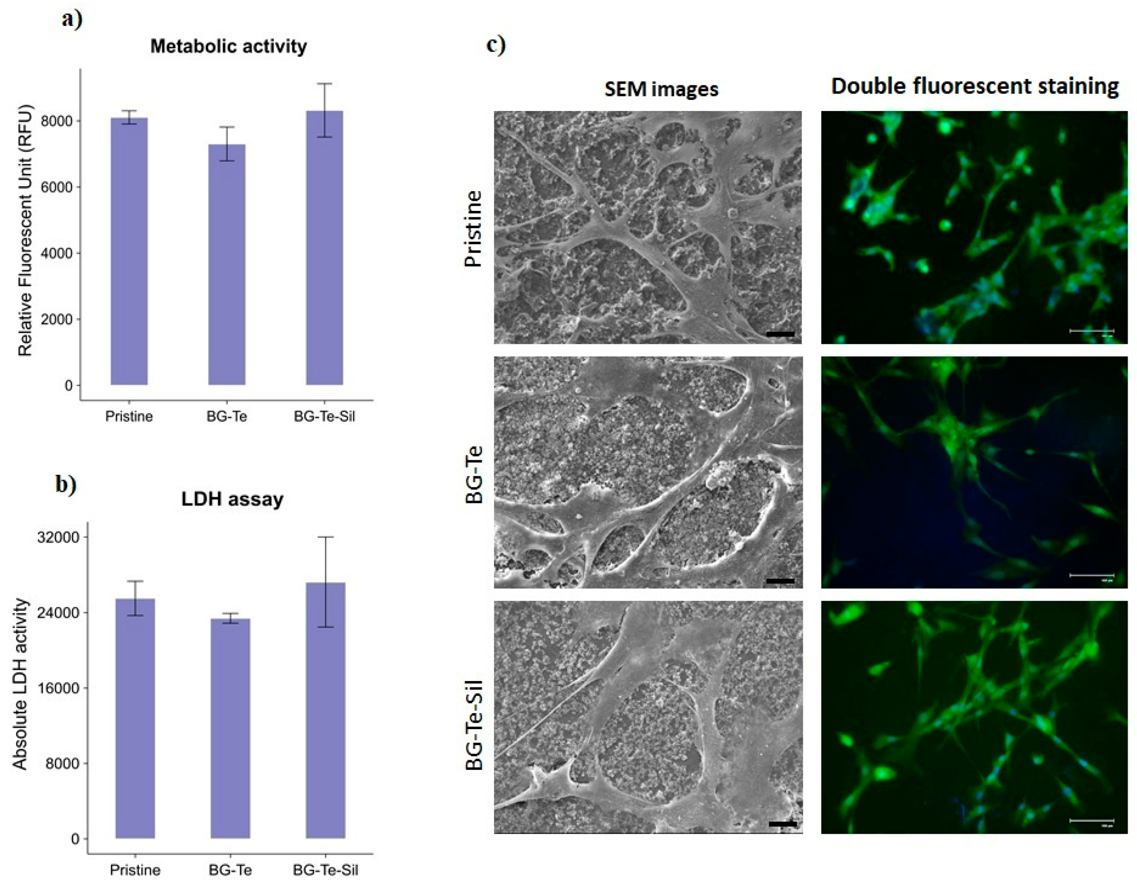 Polymers 16 03614 g011 Polymers 16 03614 g011