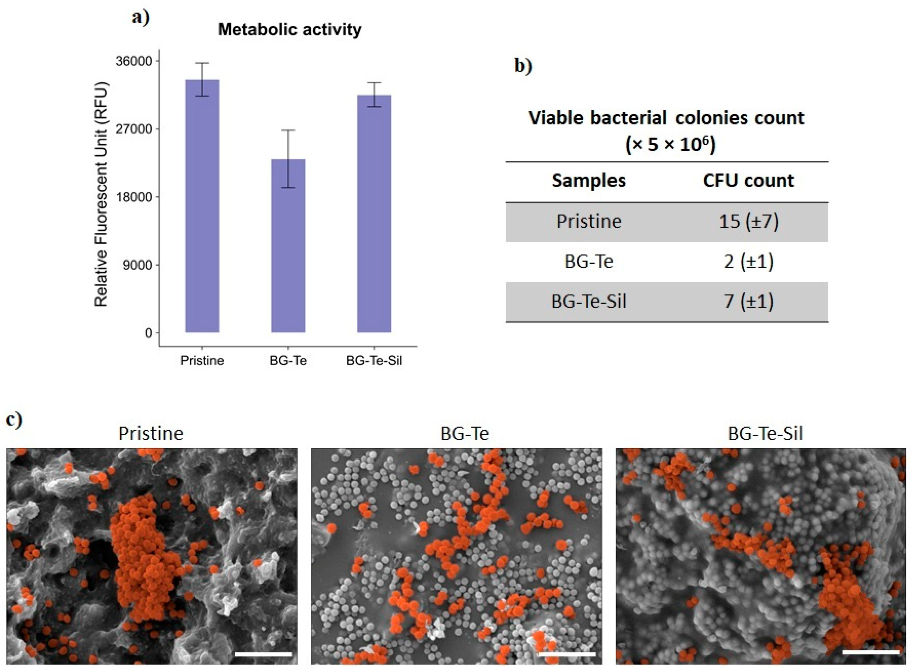 Polymers 16 03614 g012 Polymers 16 03614 g012