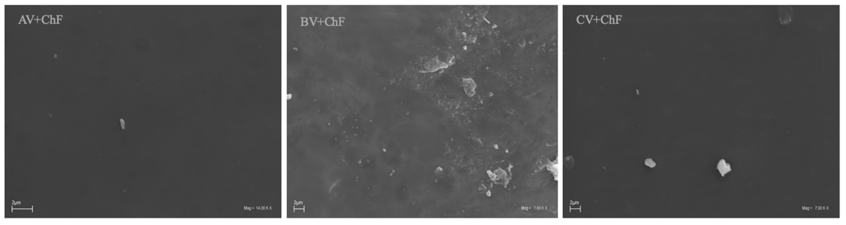 Polymers 17 00011 g005