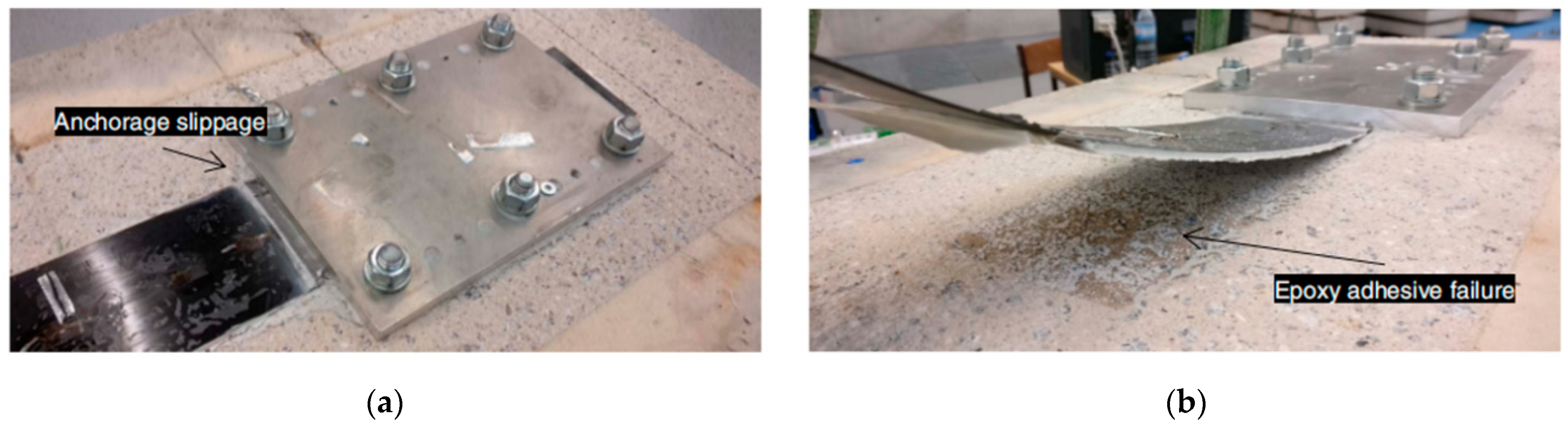 Polymers 17 00013 g004