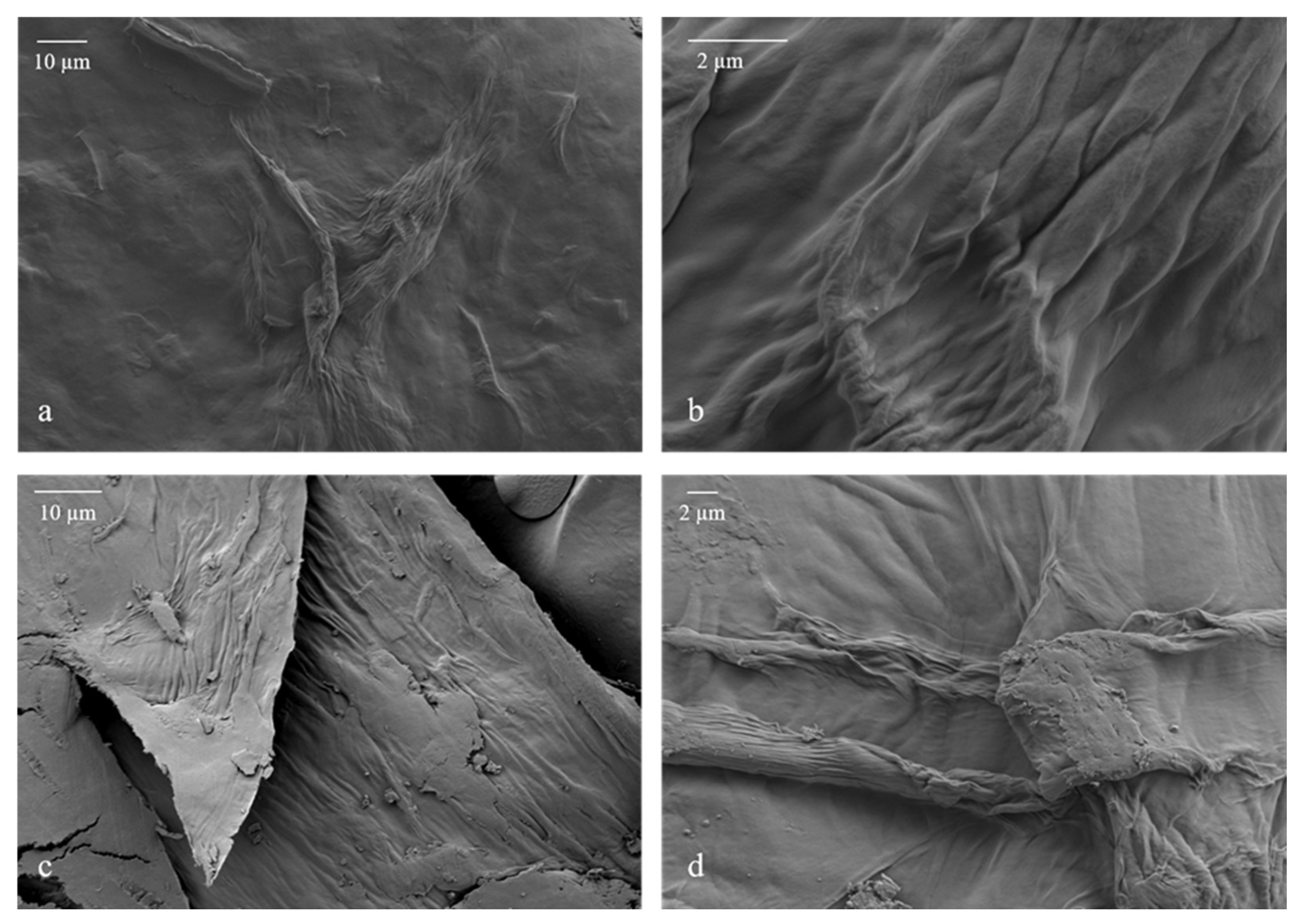 Polymers 17 00016 g002
