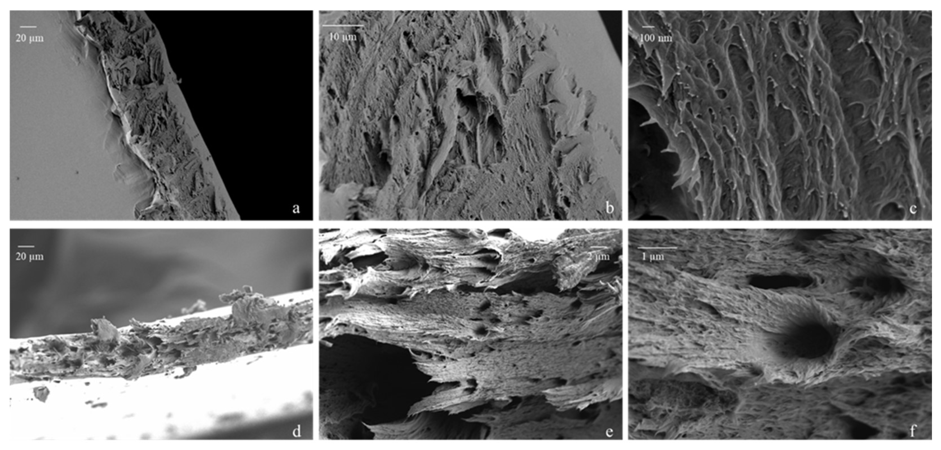 Polymers 17 00016 g003