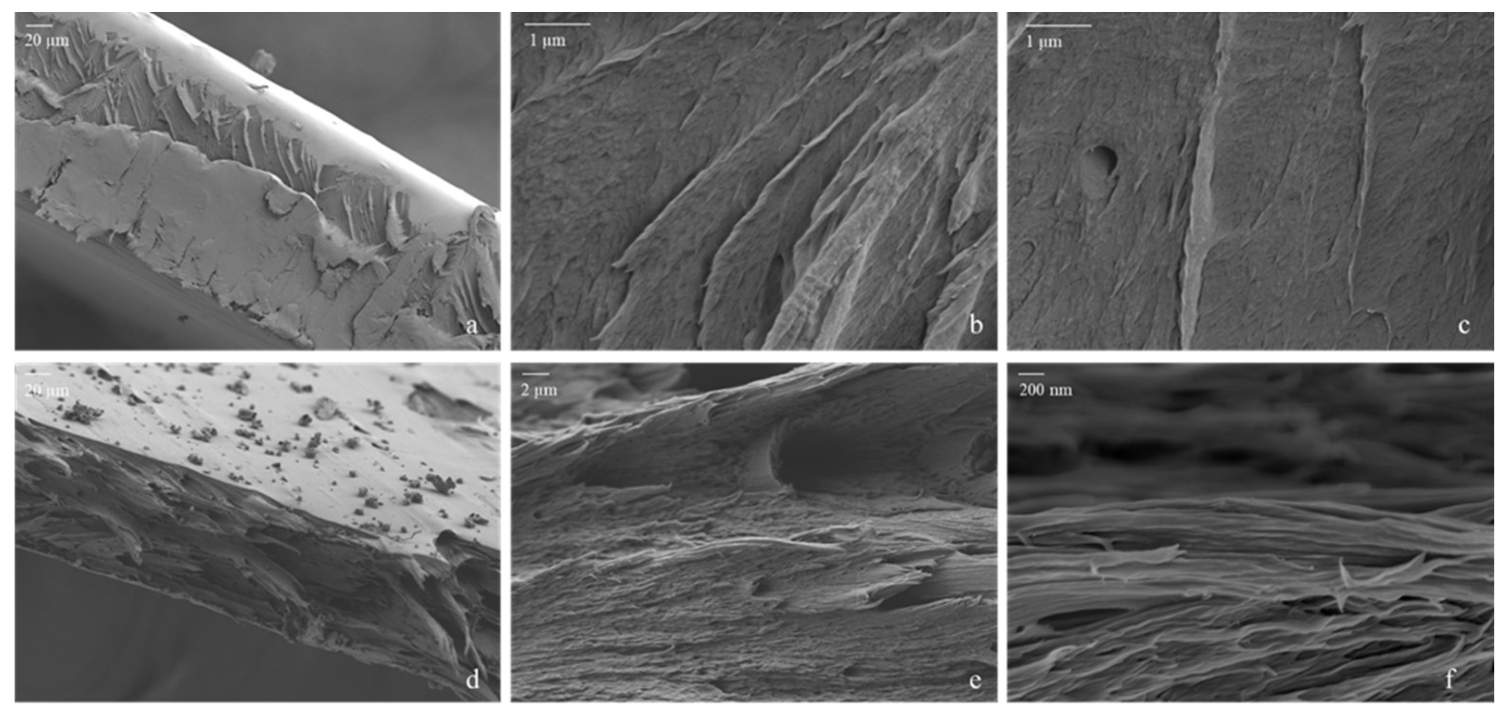 Polymers 17 00016 g004
