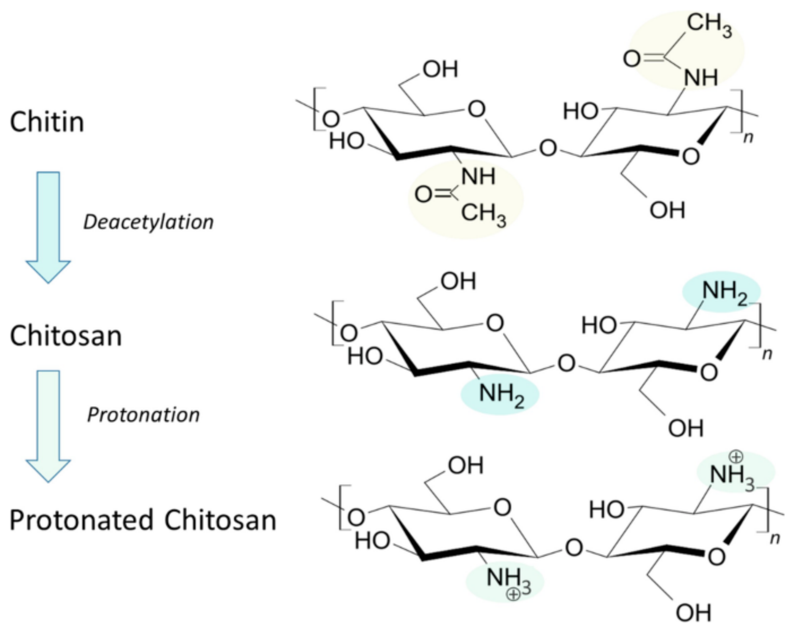 Polymers 17 00019 g001