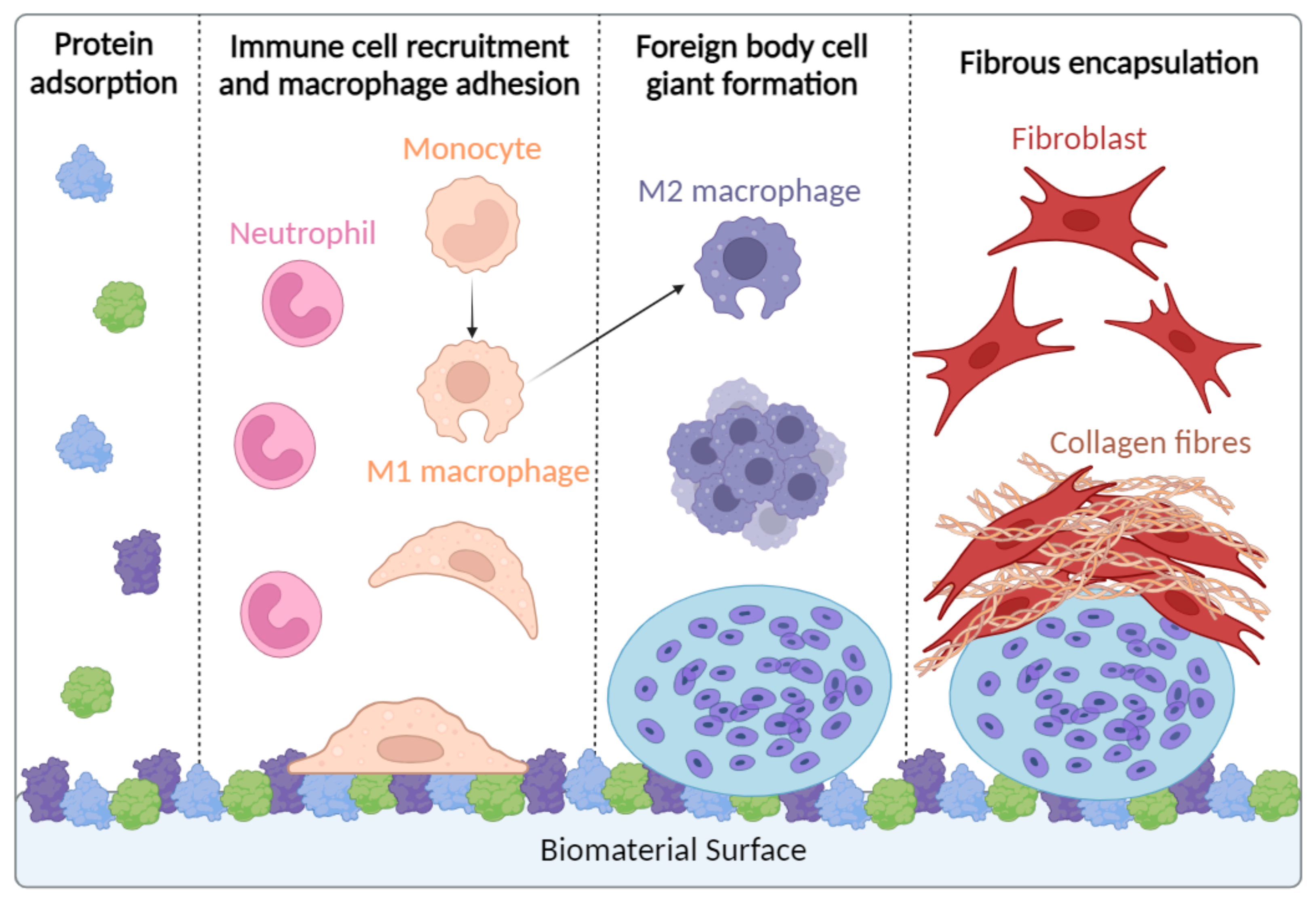 Polymers 17 00019 g003