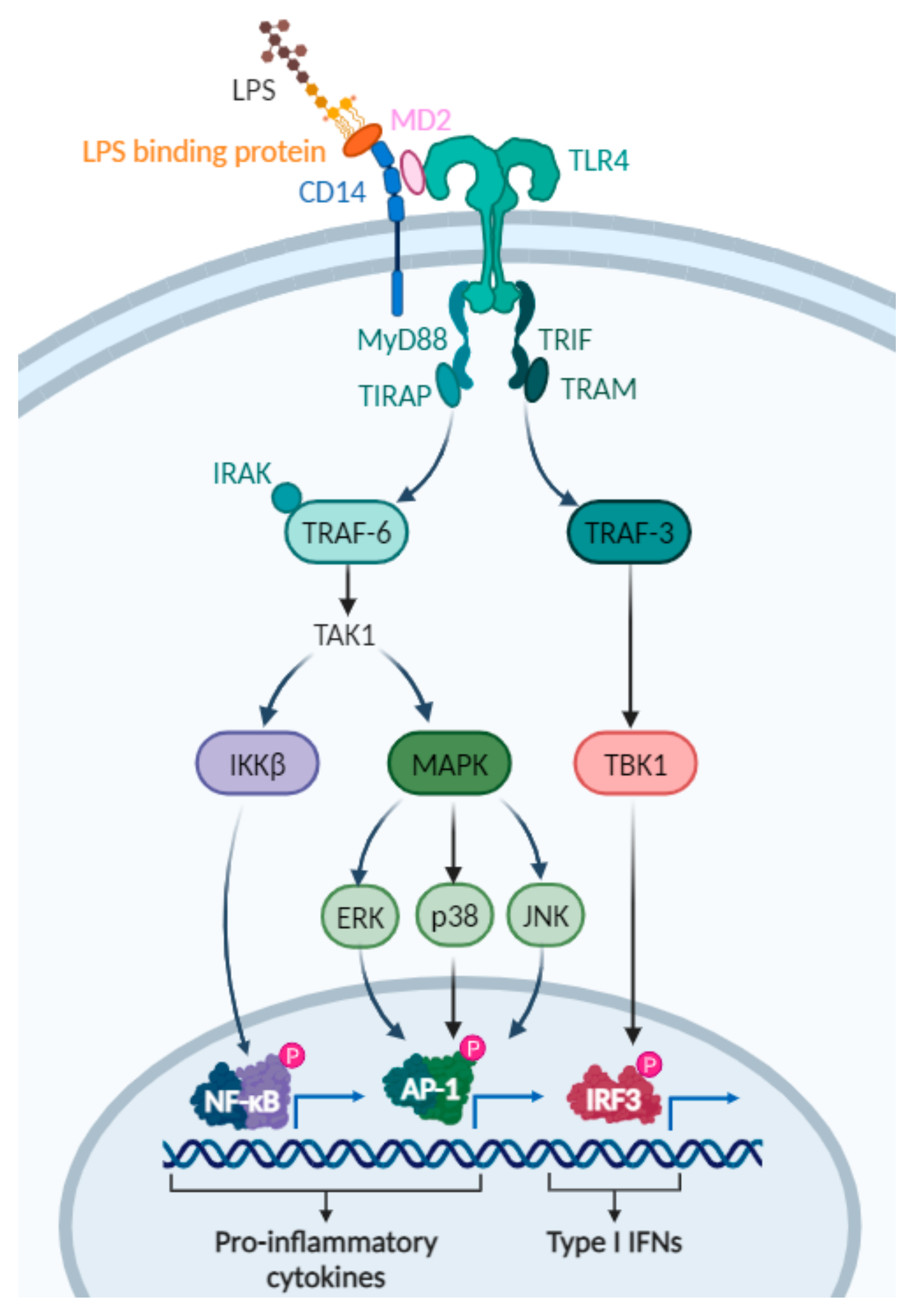 Polymers 17 00019 g004