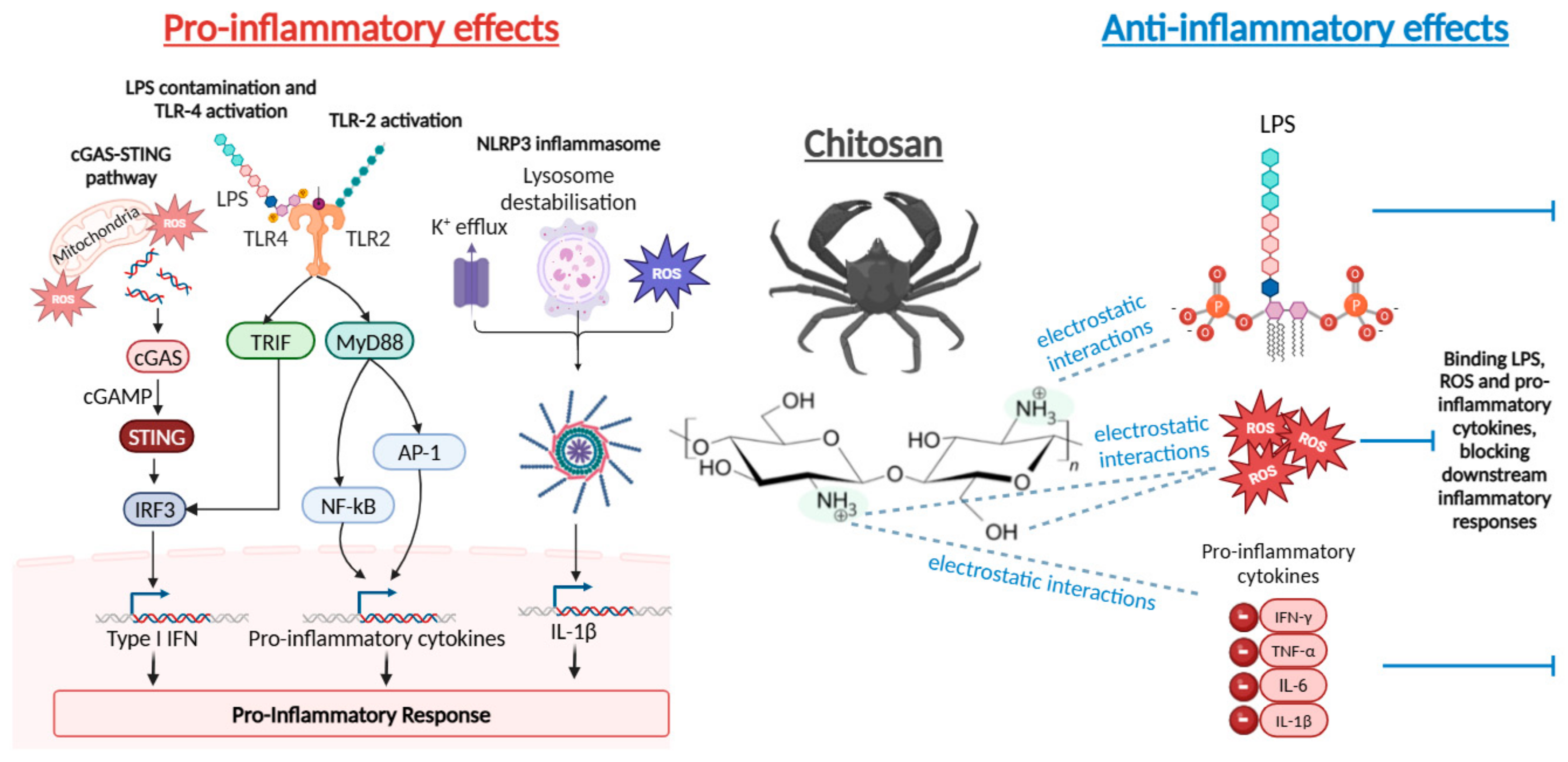 Polymers 17 00019 g005