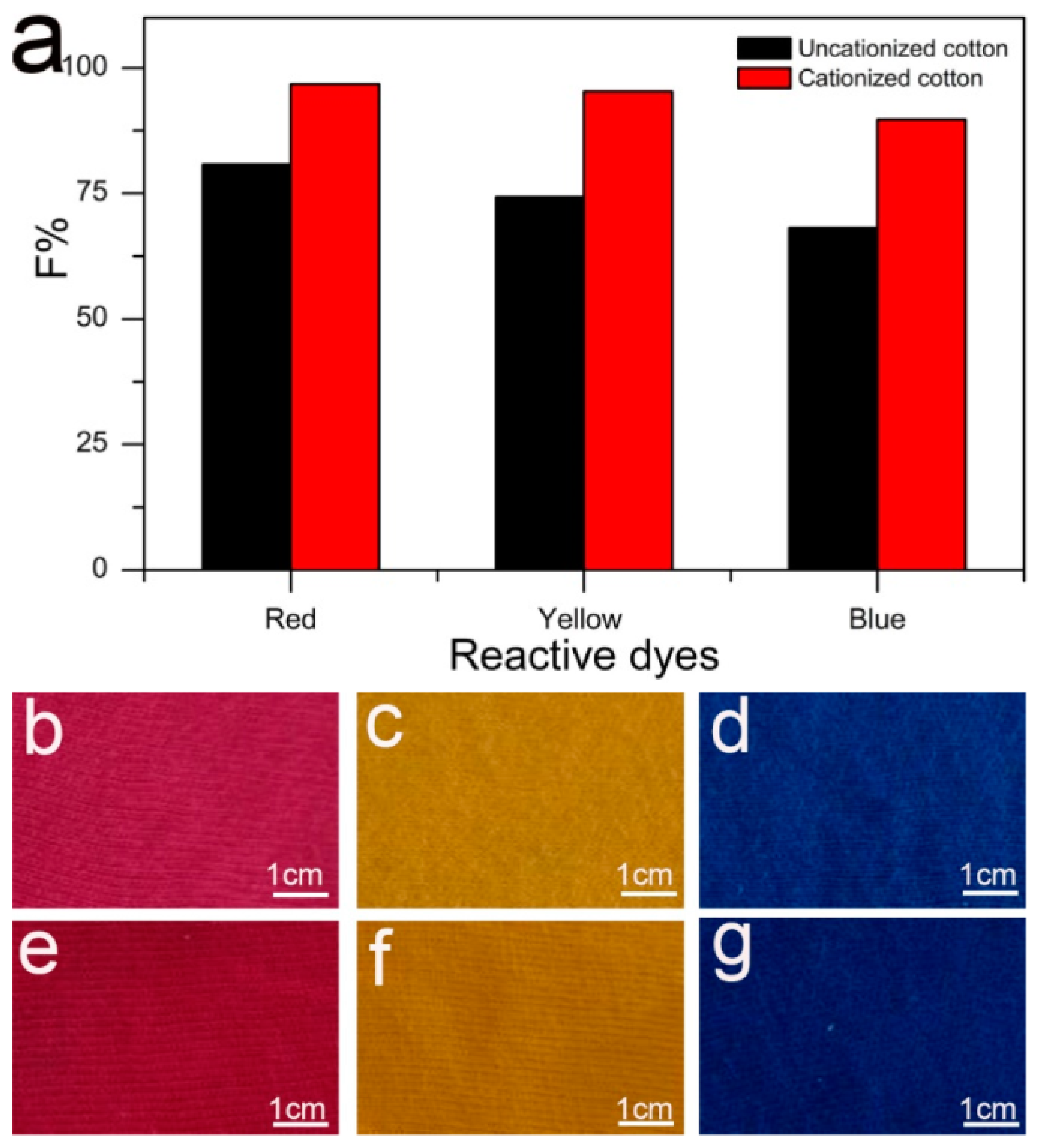 Polymers 17 00036 g007