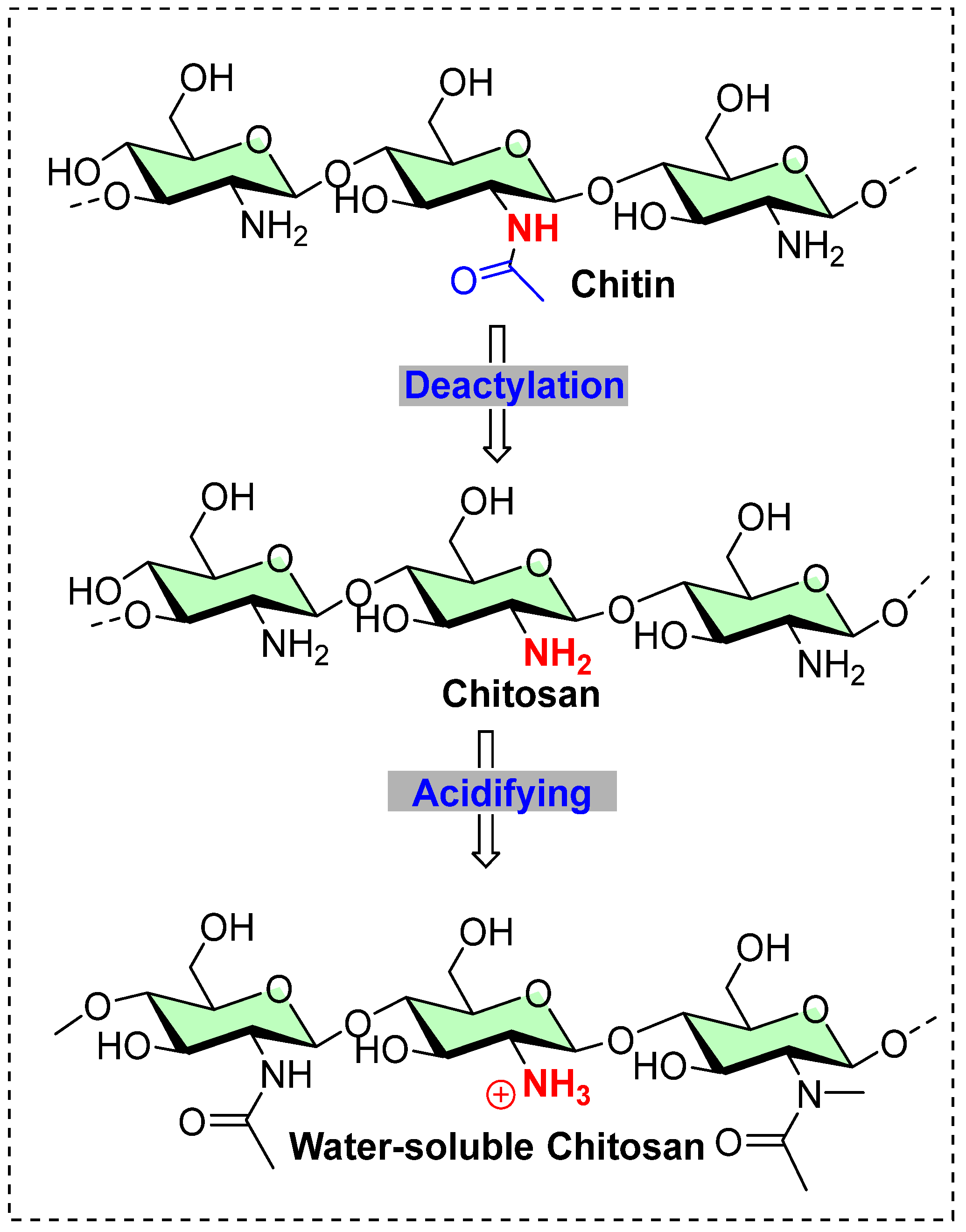 Polymers 17 00036 g011