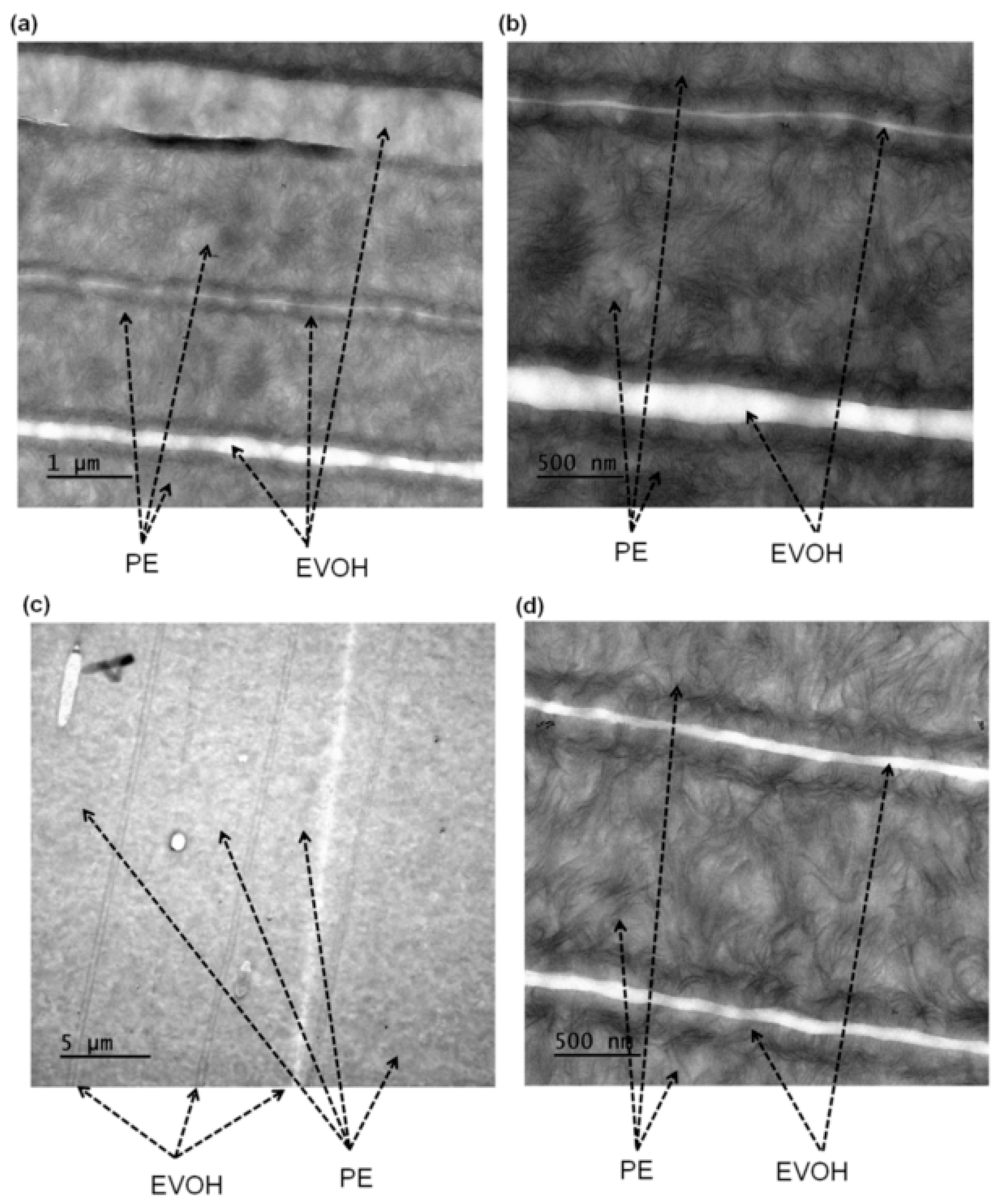 Polymers 17 00057 g012