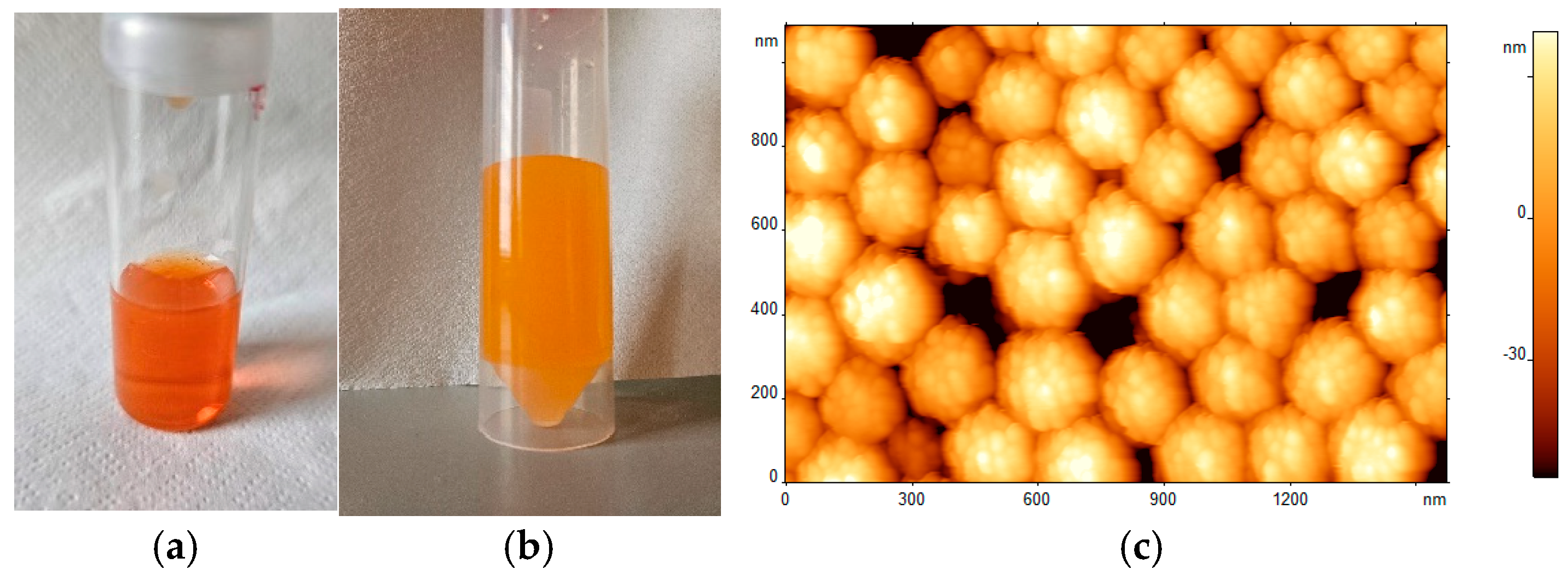 Polymers 17 00060 g001