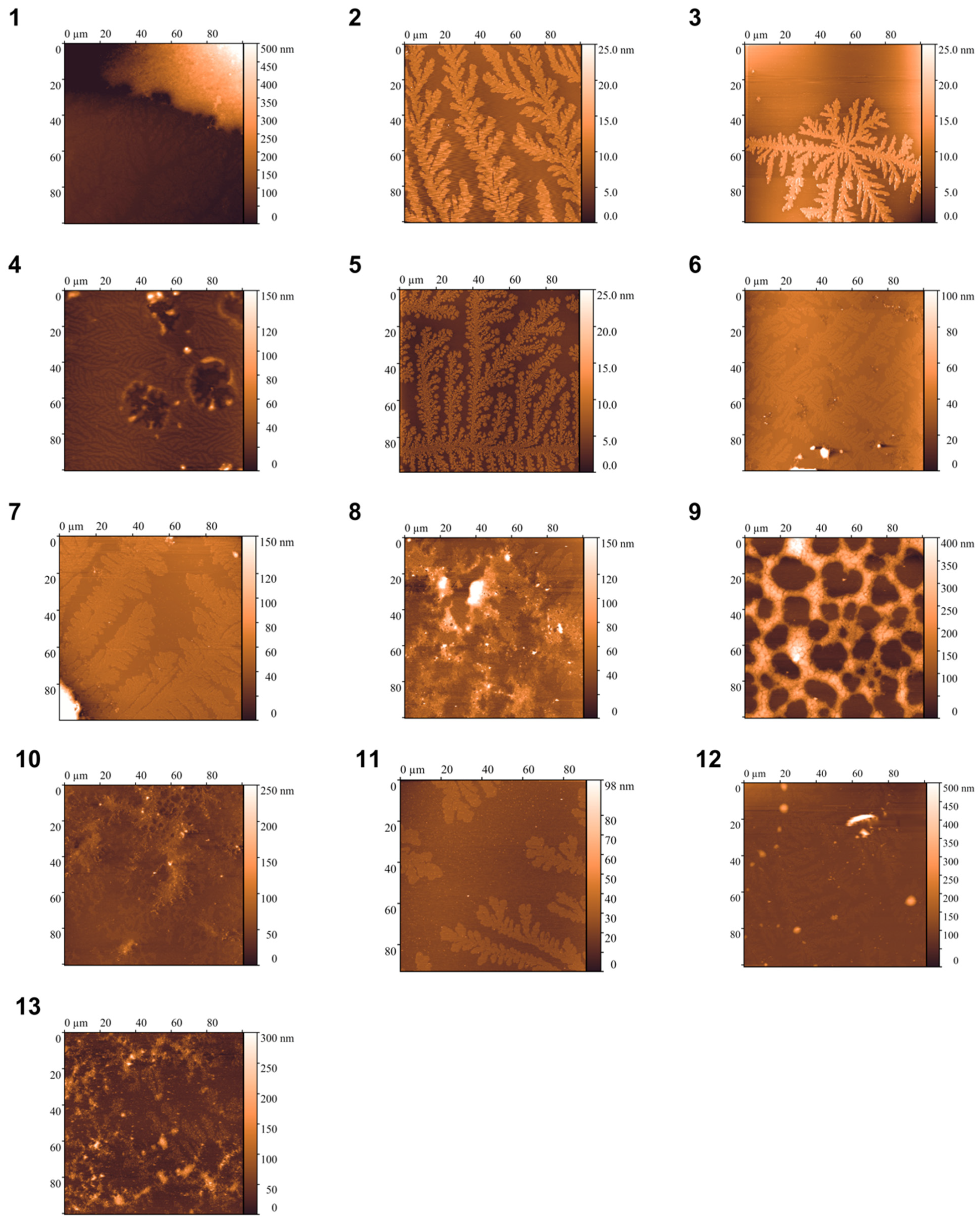 Polymers 17 00062 g001