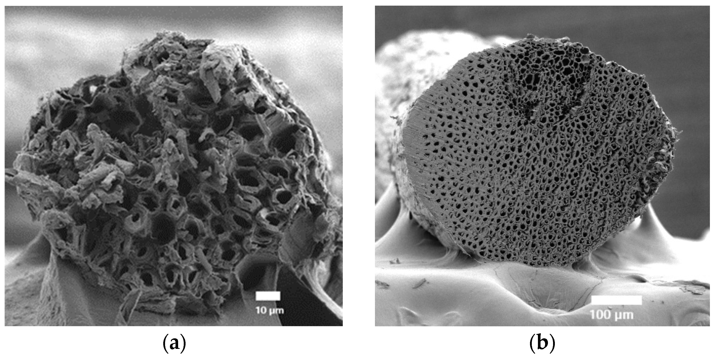 Polymers 17 00064 g003