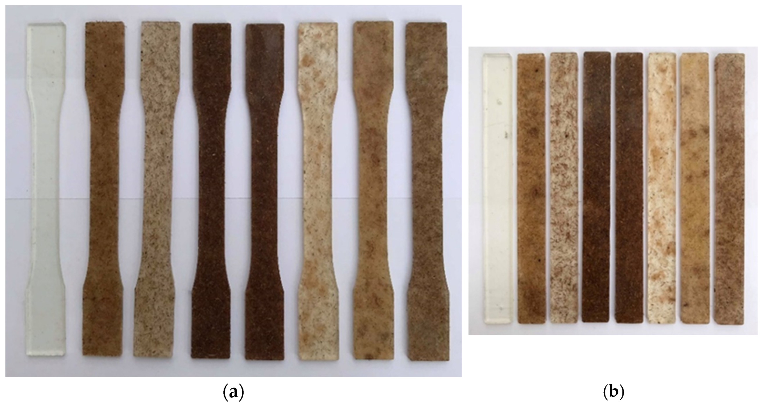 Polymers 17 00064 g004