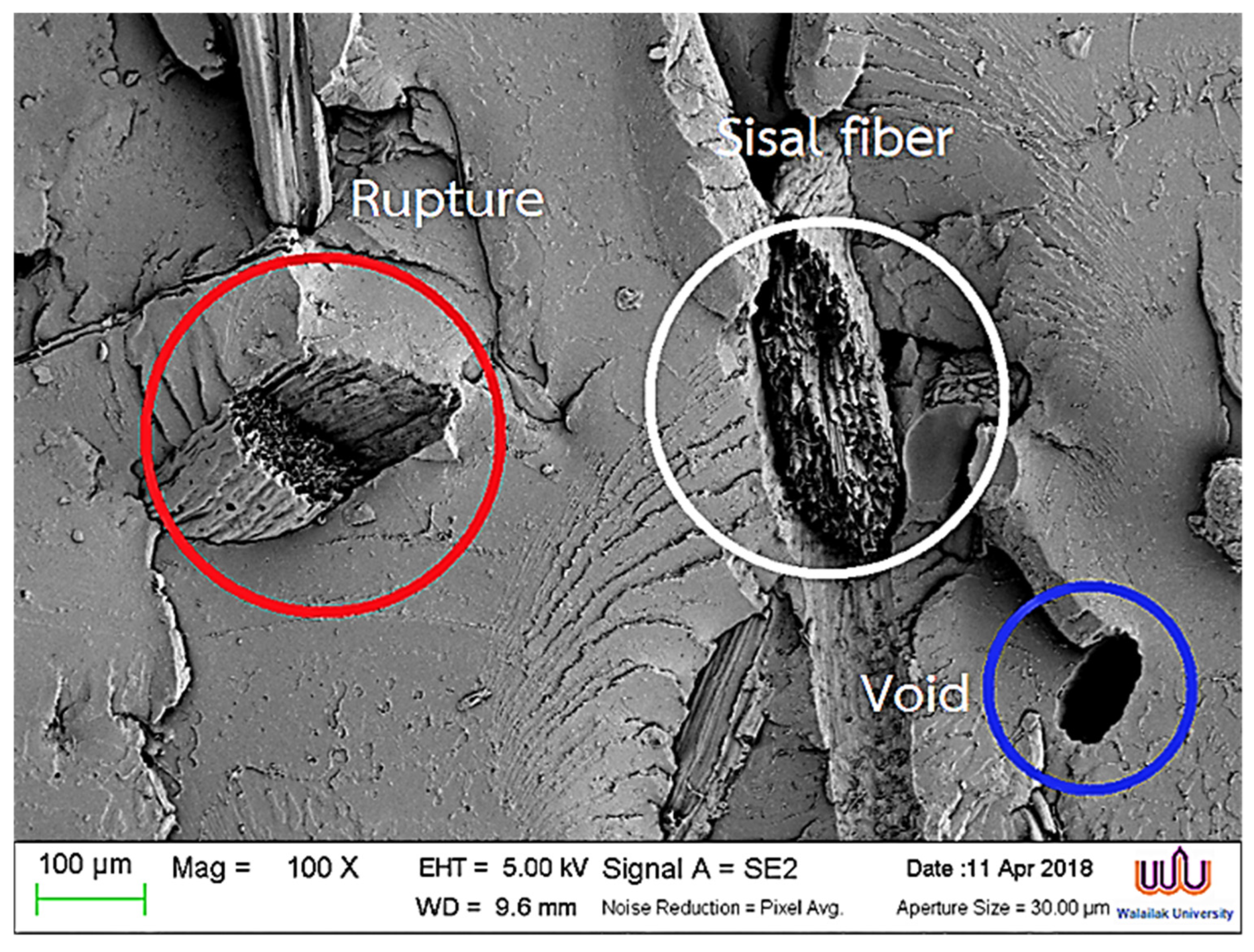 Polymers 17 00064 g011