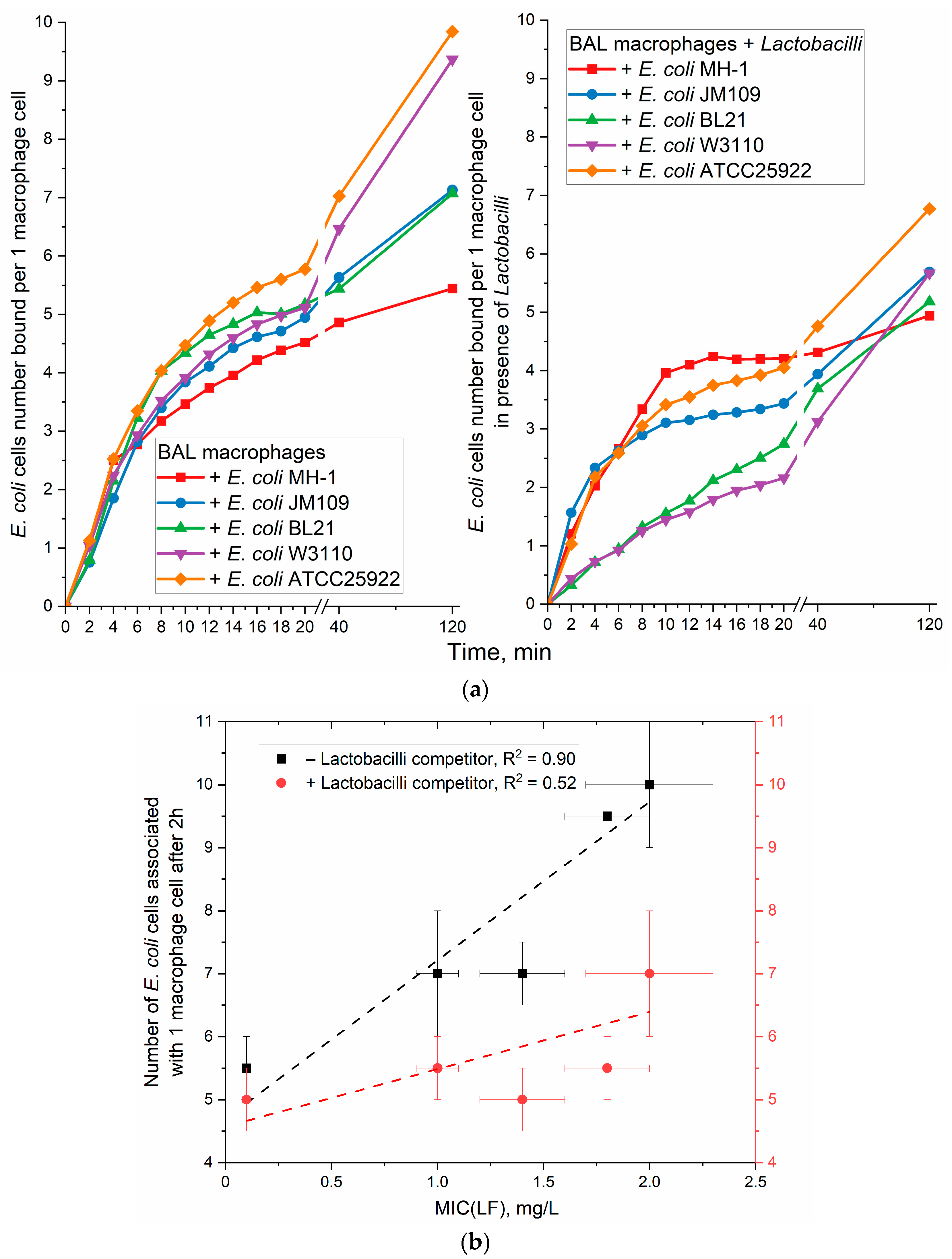 Polymers 17 00065 g005