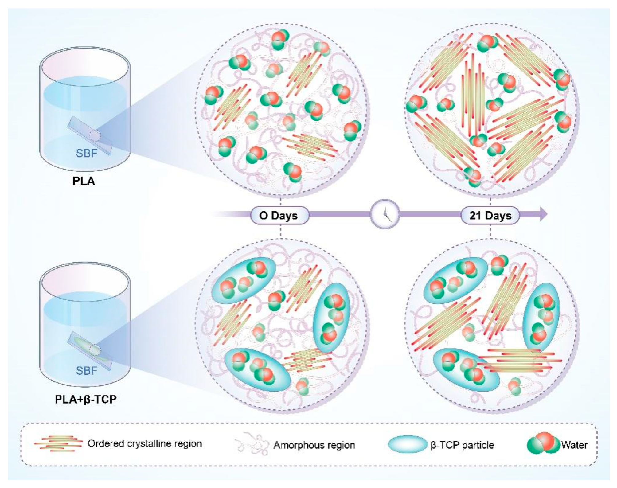 Polymers 17 00066 g003