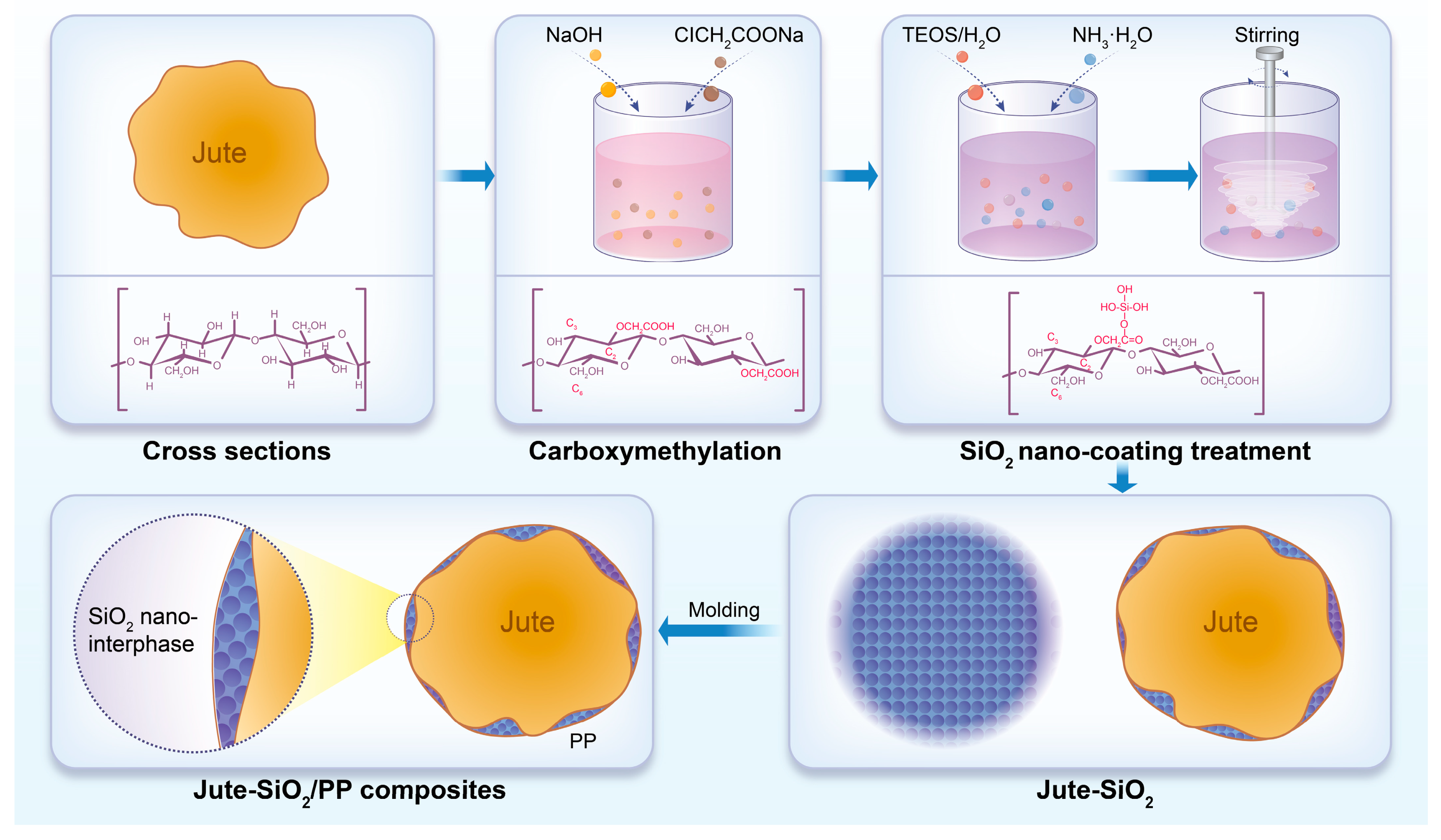 Polymers 17 00066 g007