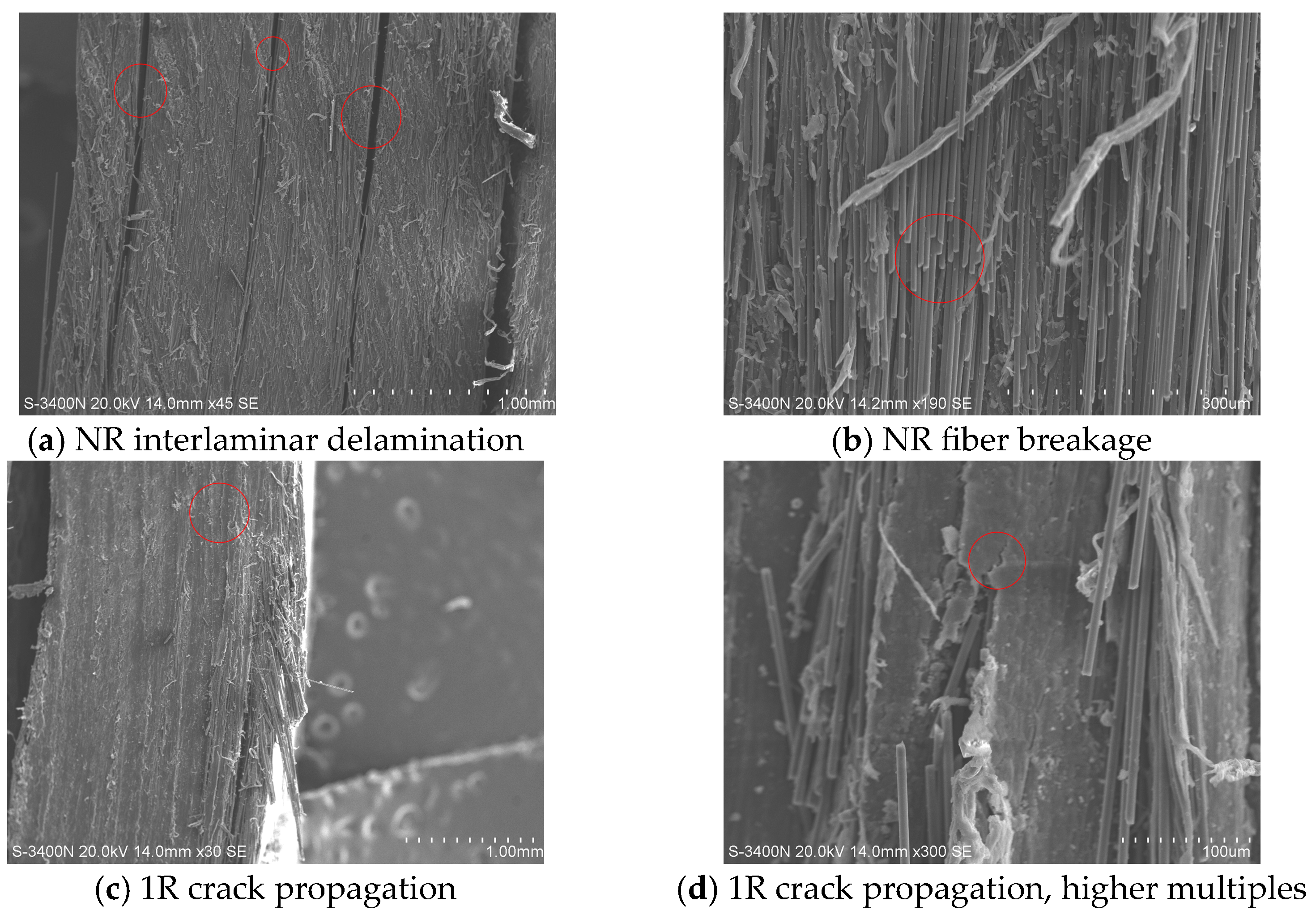 Polymers 17 00073 g010