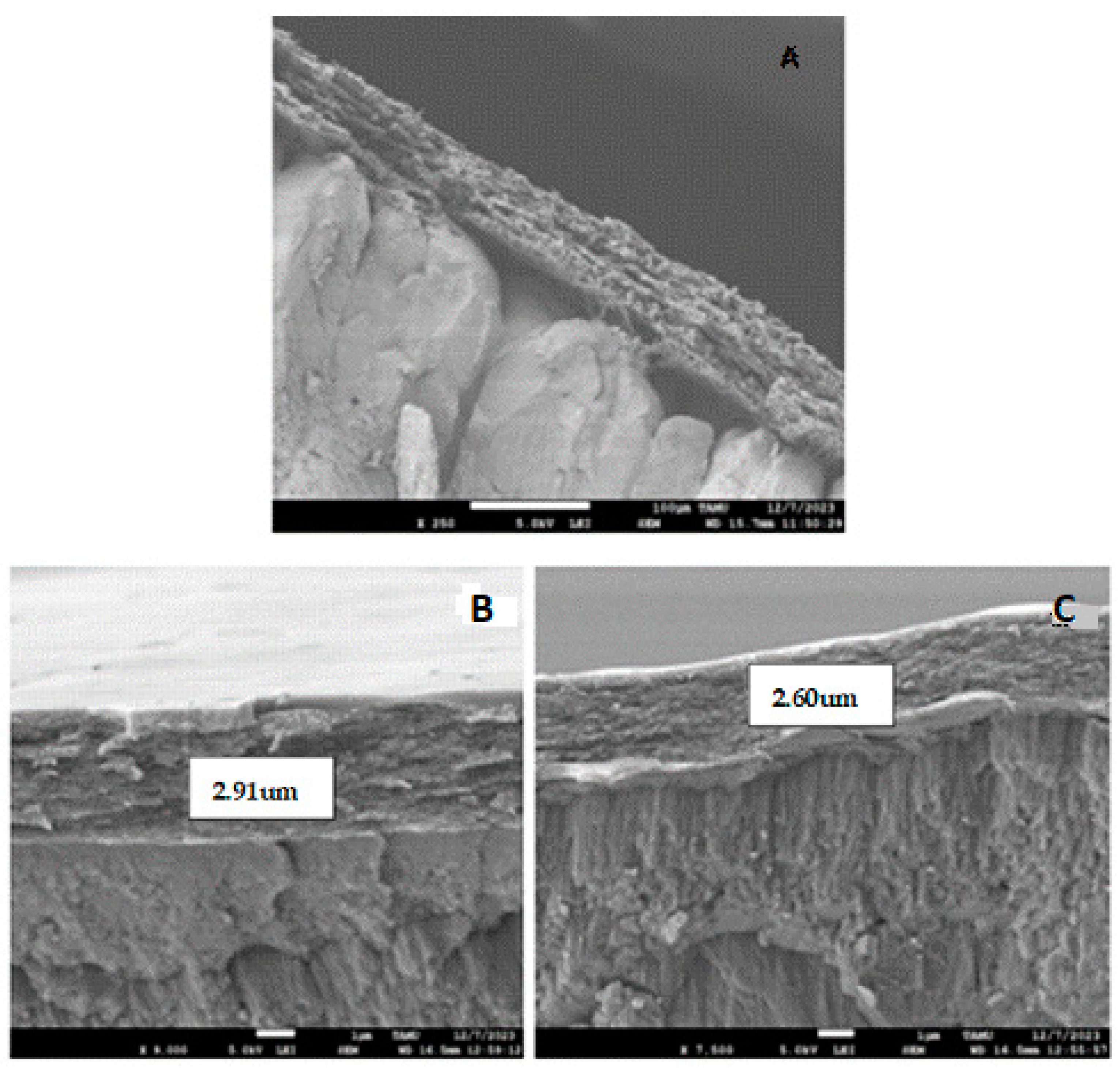 Polymers 17 00084 g001