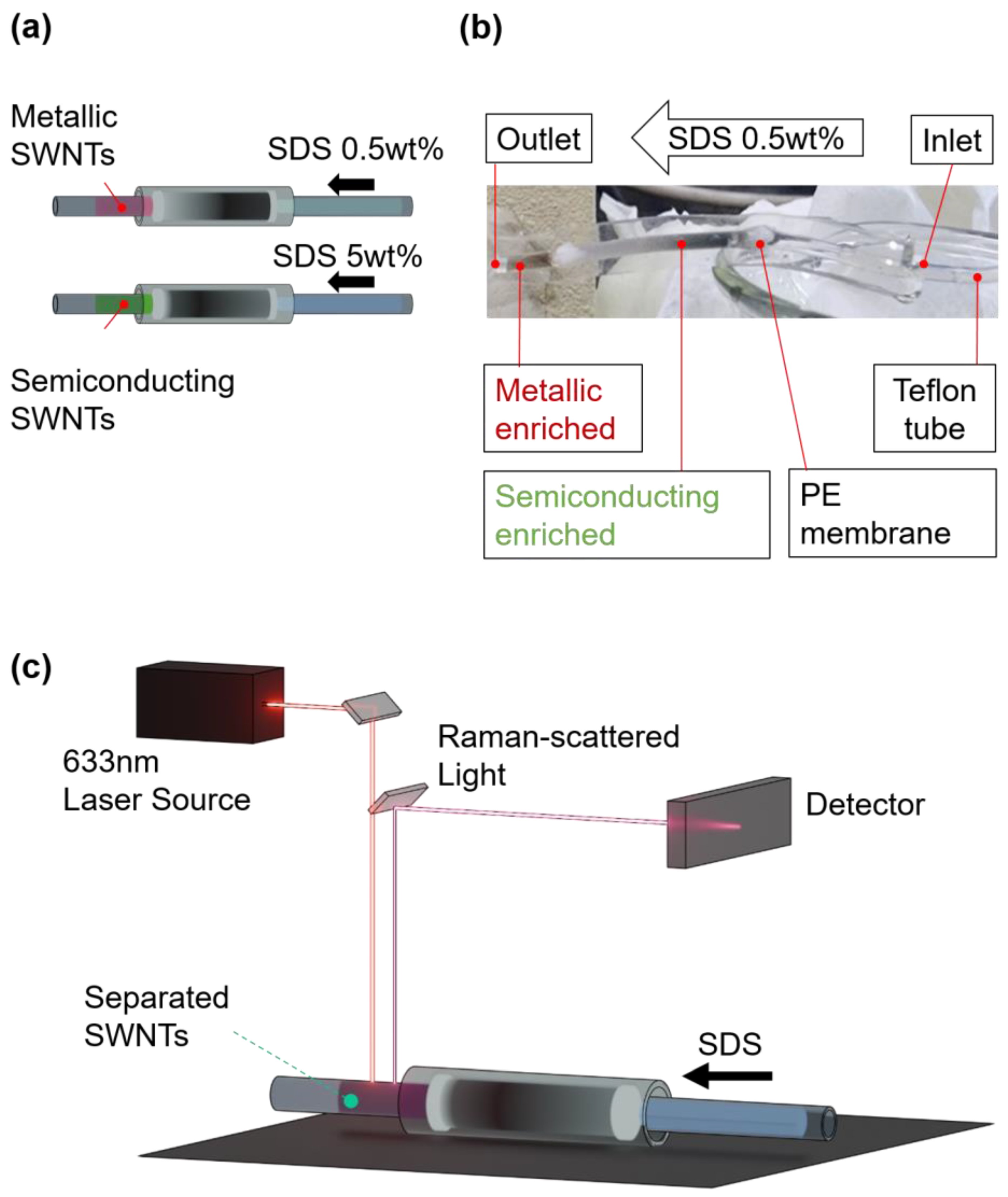 Polymers 17 00093 g004
