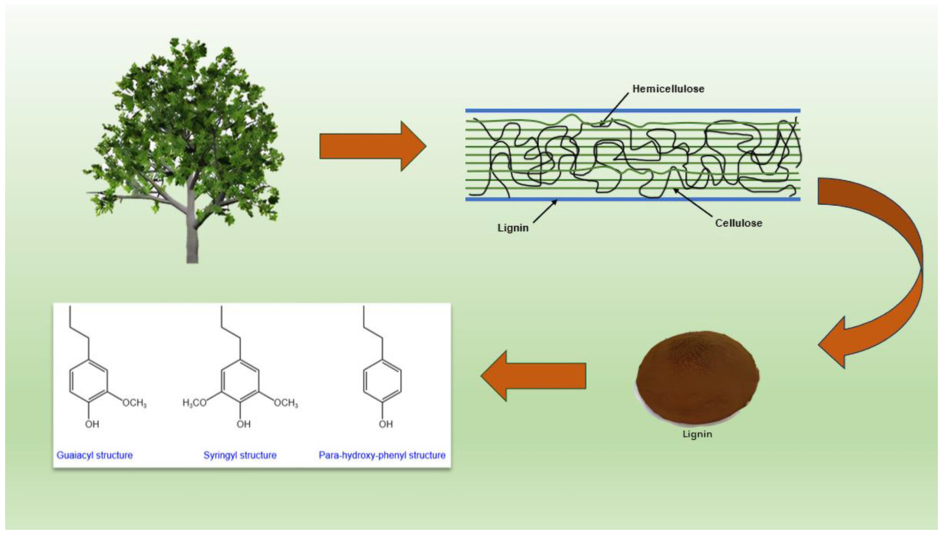 Polymers 17 00094 g001