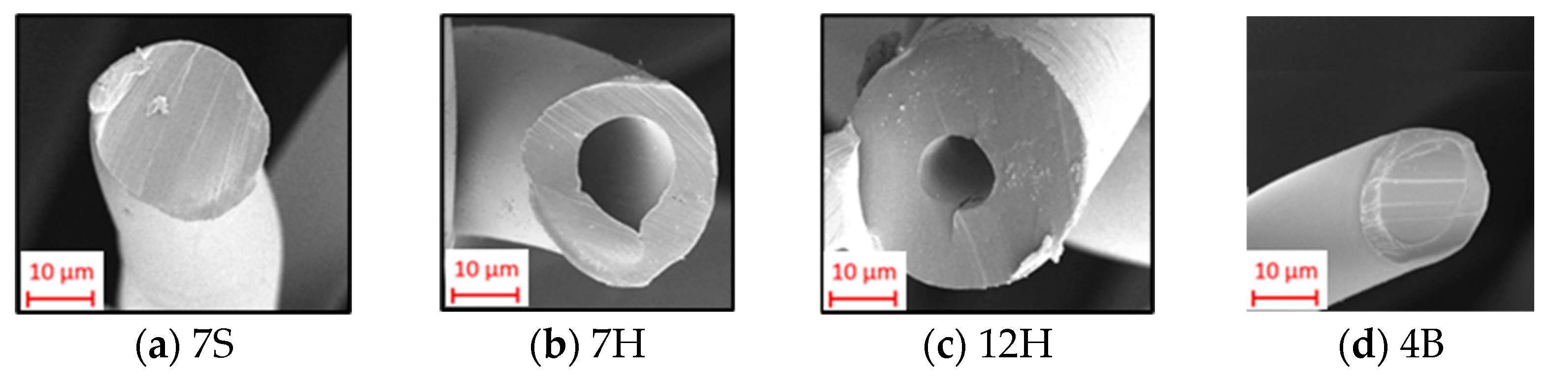 Polymers 17 00101 g001