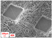 Polymers 17 00101 i004