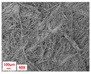 Polymers 17 00101 i005